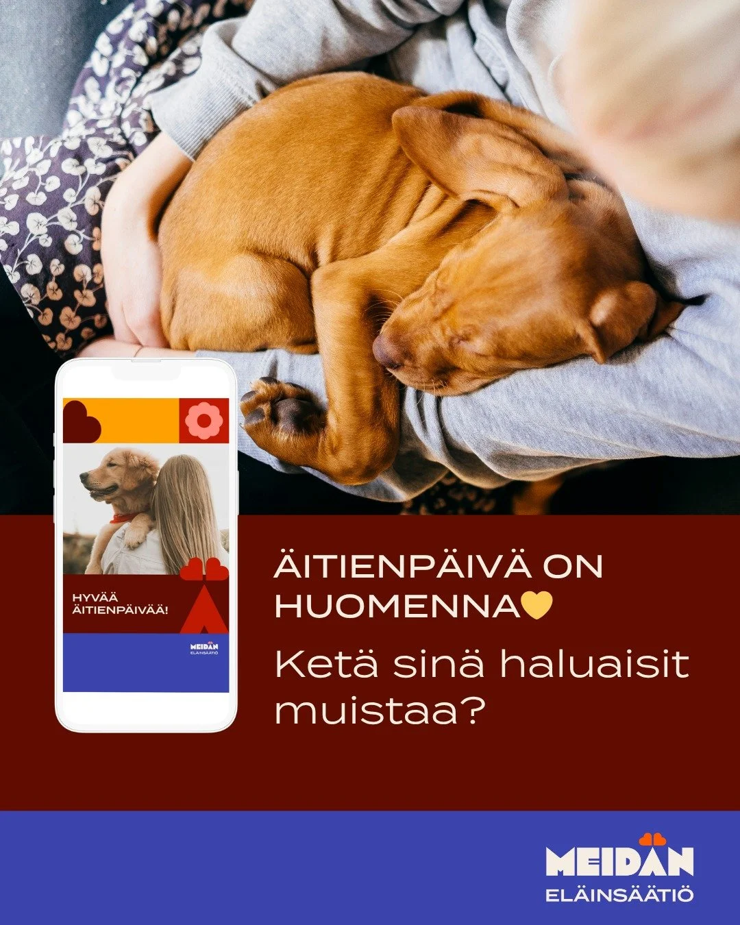 S&auml;hk&ouml;inen &auml;itienp&auml;iv&auml;kortti ehti perille 💛

Pieni viesti voi merkit&auml; paljon. 
Samalla autat v&auml;h&auml;varaisia lemmikkiperheit&auml; Suomessa.

Kortti l&ouml;ytyy linkist&auml; biossa.
