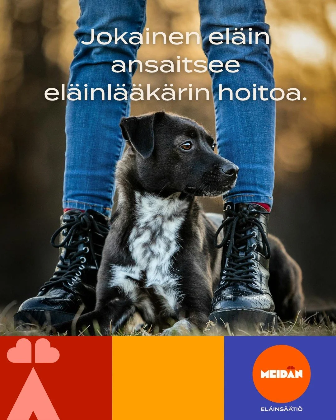 Ja jokainen omistaja ansaitsee tukea silloin, kun taloudelliset voimavarat eiv&auml;t riit&auml;. Yhdess&auml; voimme tehd&auml; t&auml;st&auml; mahdollista🧡