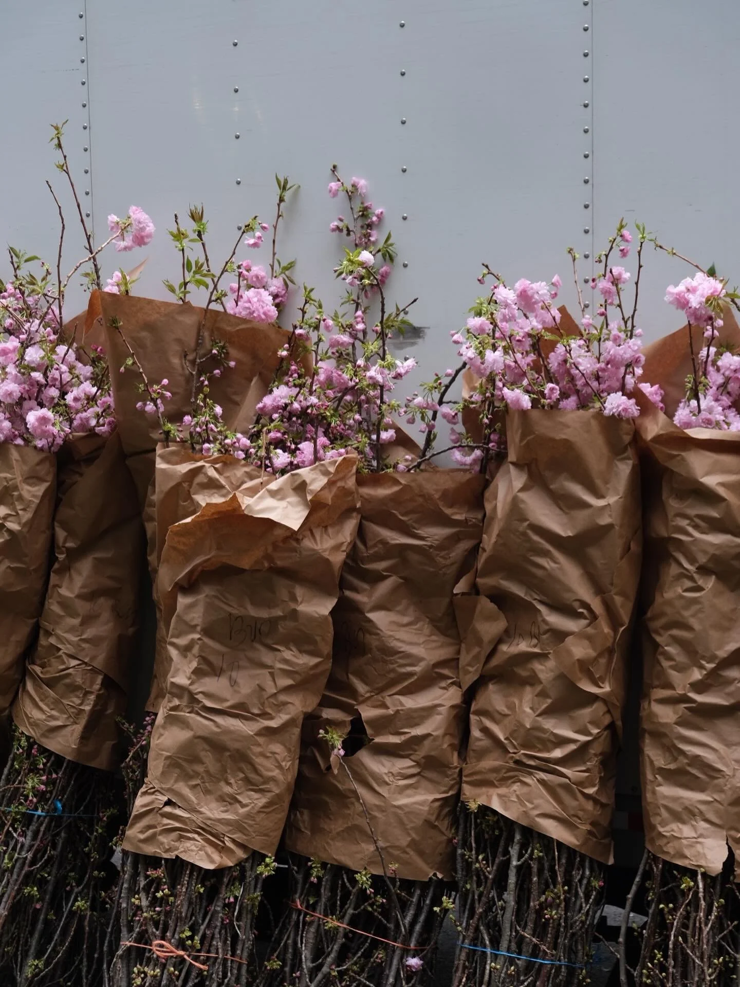 Reverie Savoir spring wishlist 🌸