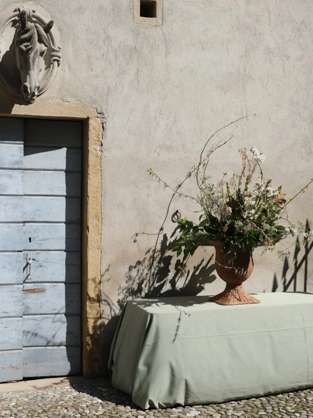 Triumph of Spring 🌸