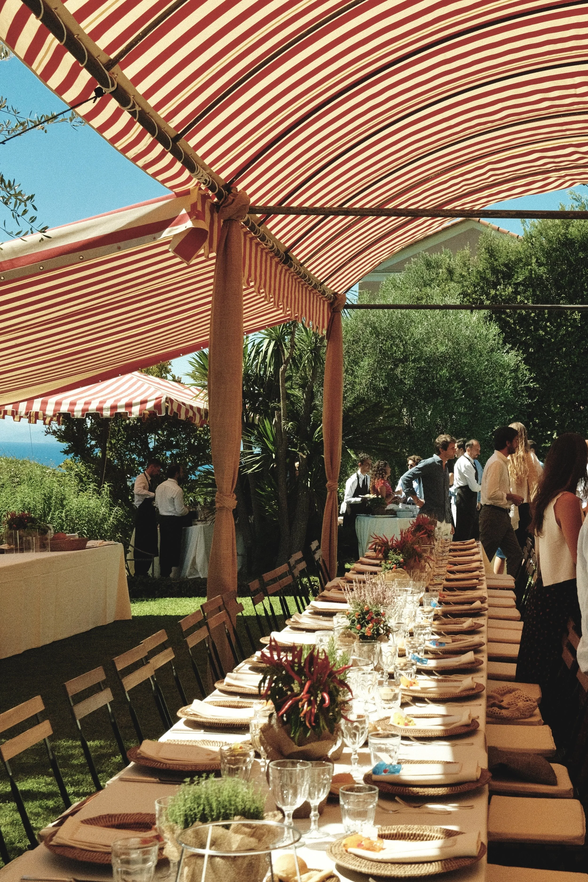 Copia di DSCF2324.jpeg