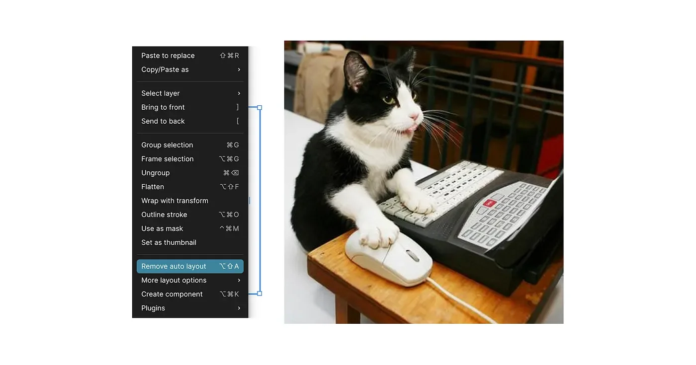 A cat sticking its tongue out and focusing, at a computer and holding a mouse. It is hovering over the “Remove auto layout” button in Figma.