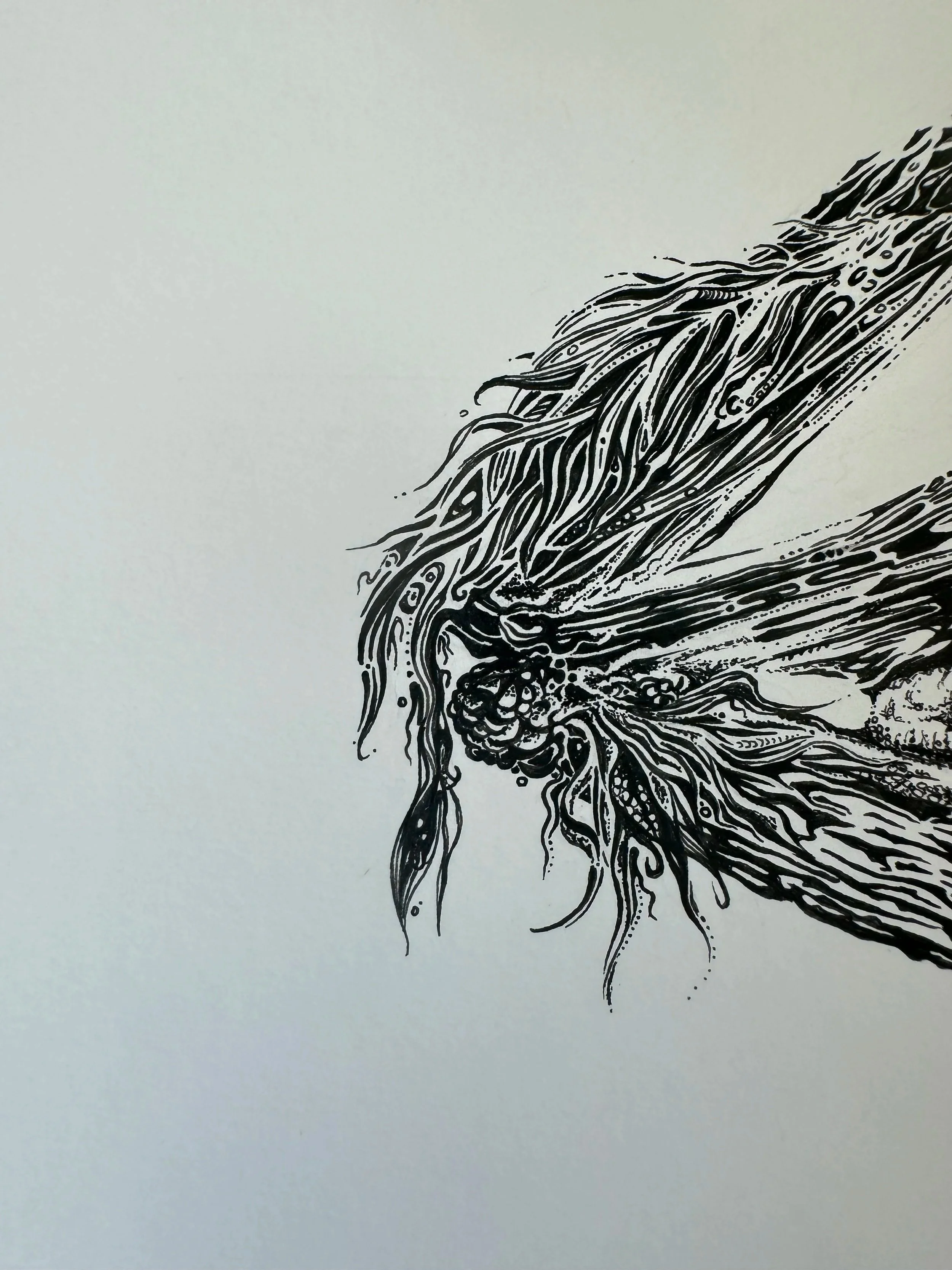 fiona-suarez-what-we-hold-pen-ink-detail.jpg