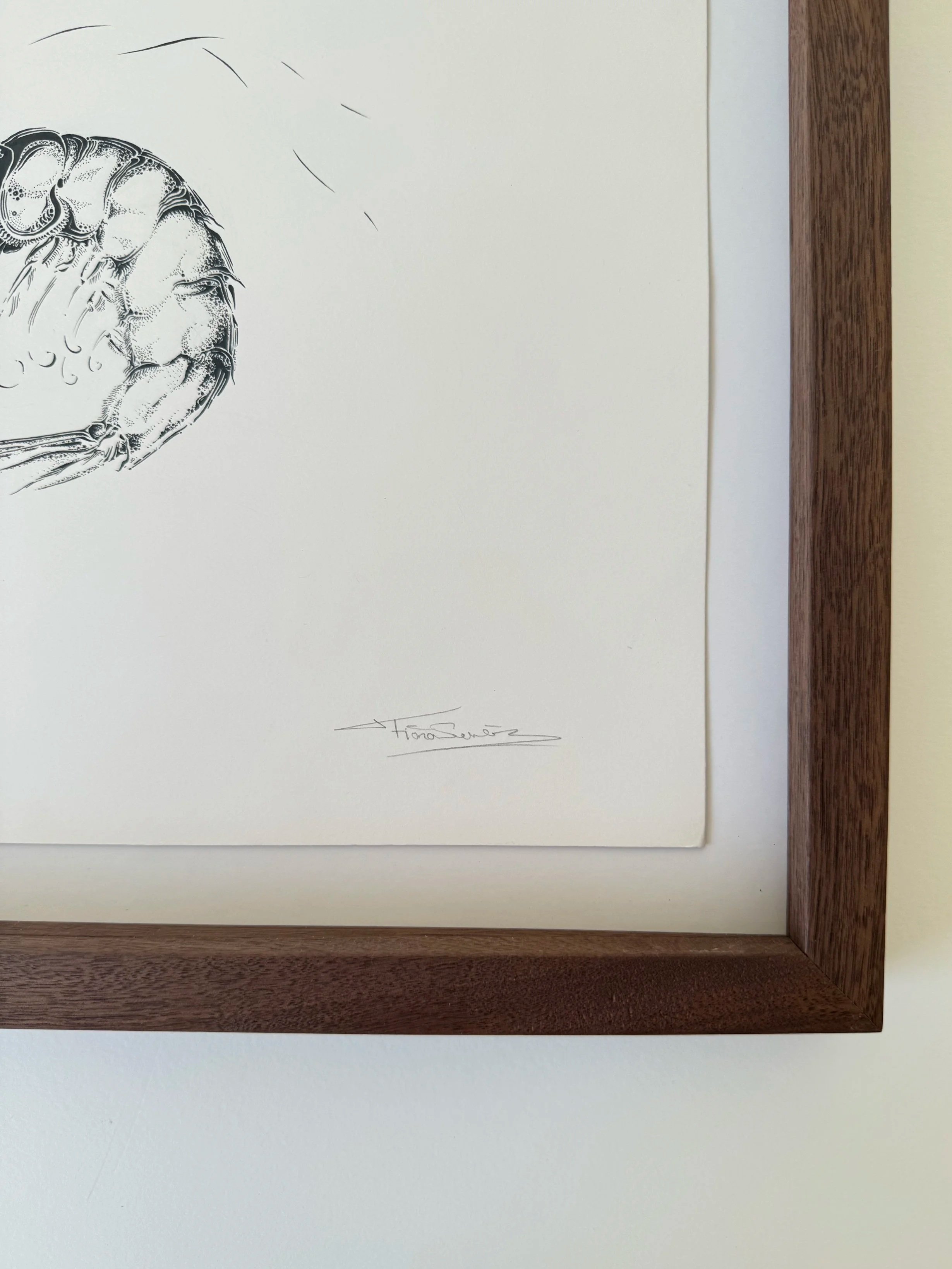 fiona-suarez-last-one-walnut-frame-detail.jpg
