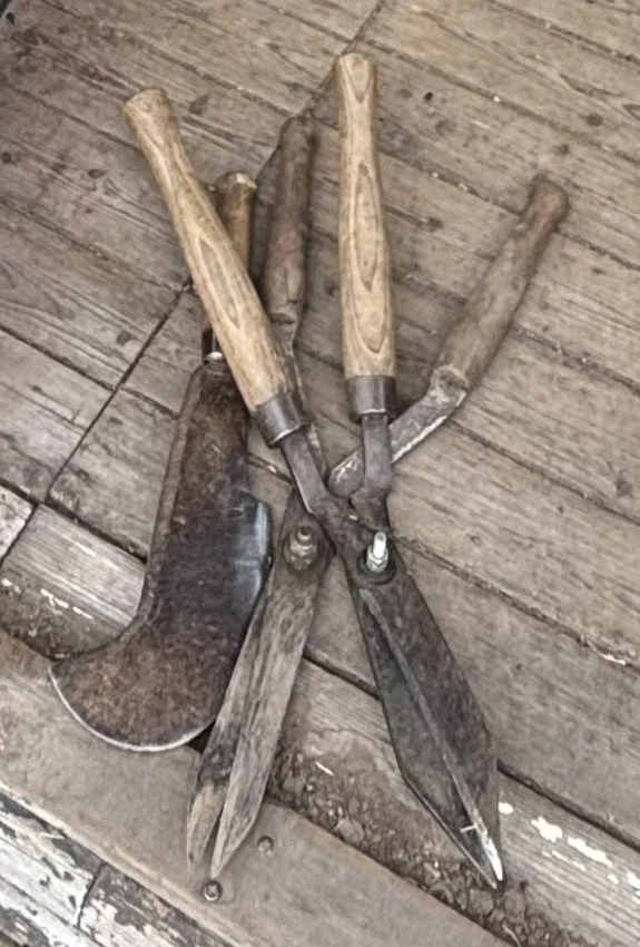 Sharpened machete, sharpened hedge trimmer in Christleton, Chester