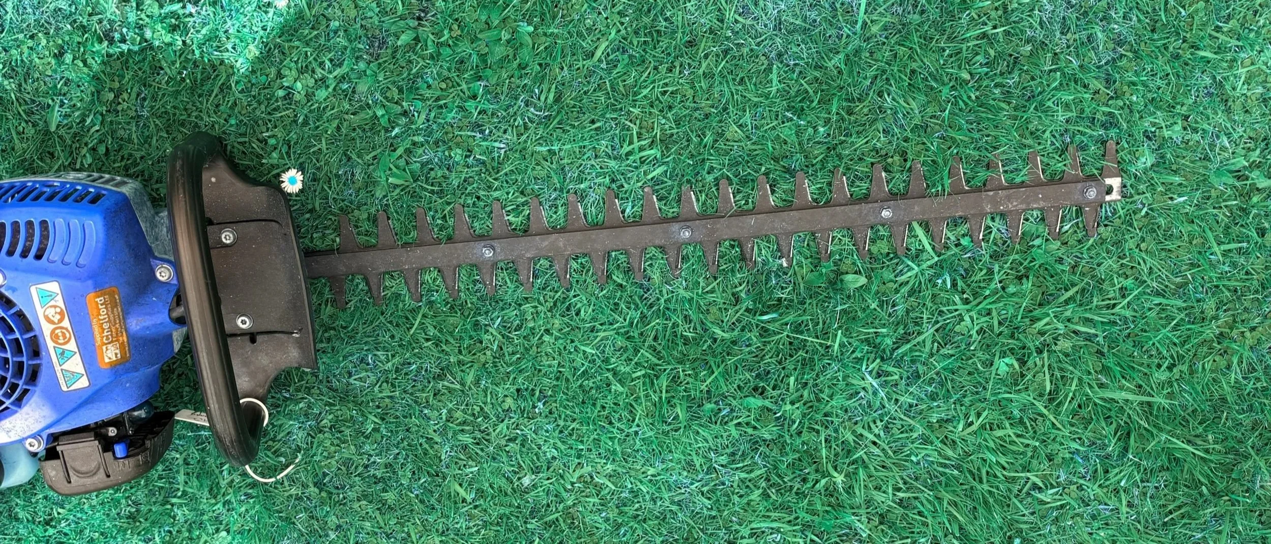 Sharpened chainsaw blade | Bramhall, Stockport, Greater Manchester, North West SK7