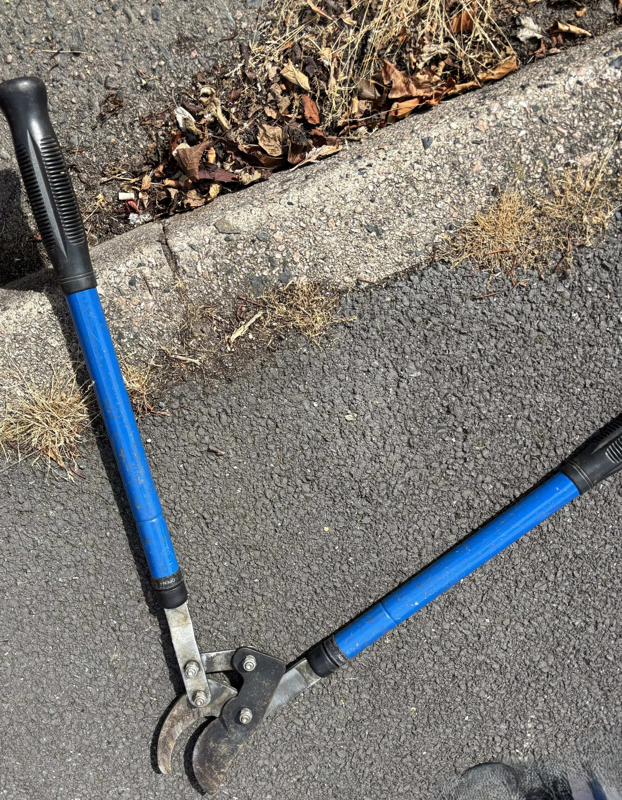 Loppers sharpening Heald Green, Stockport, Greater Manchester. Loppers sharpening service, secateur sharpening, Loppers sharpening service near me, loppers sharpened by Blunt Solutions. Bypass loppers sharpening service, lopping shears sharpening