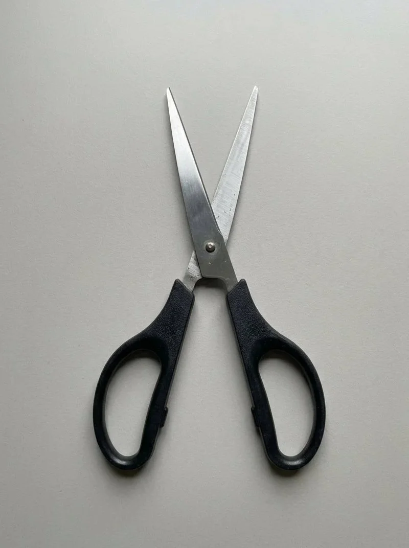 Scissors