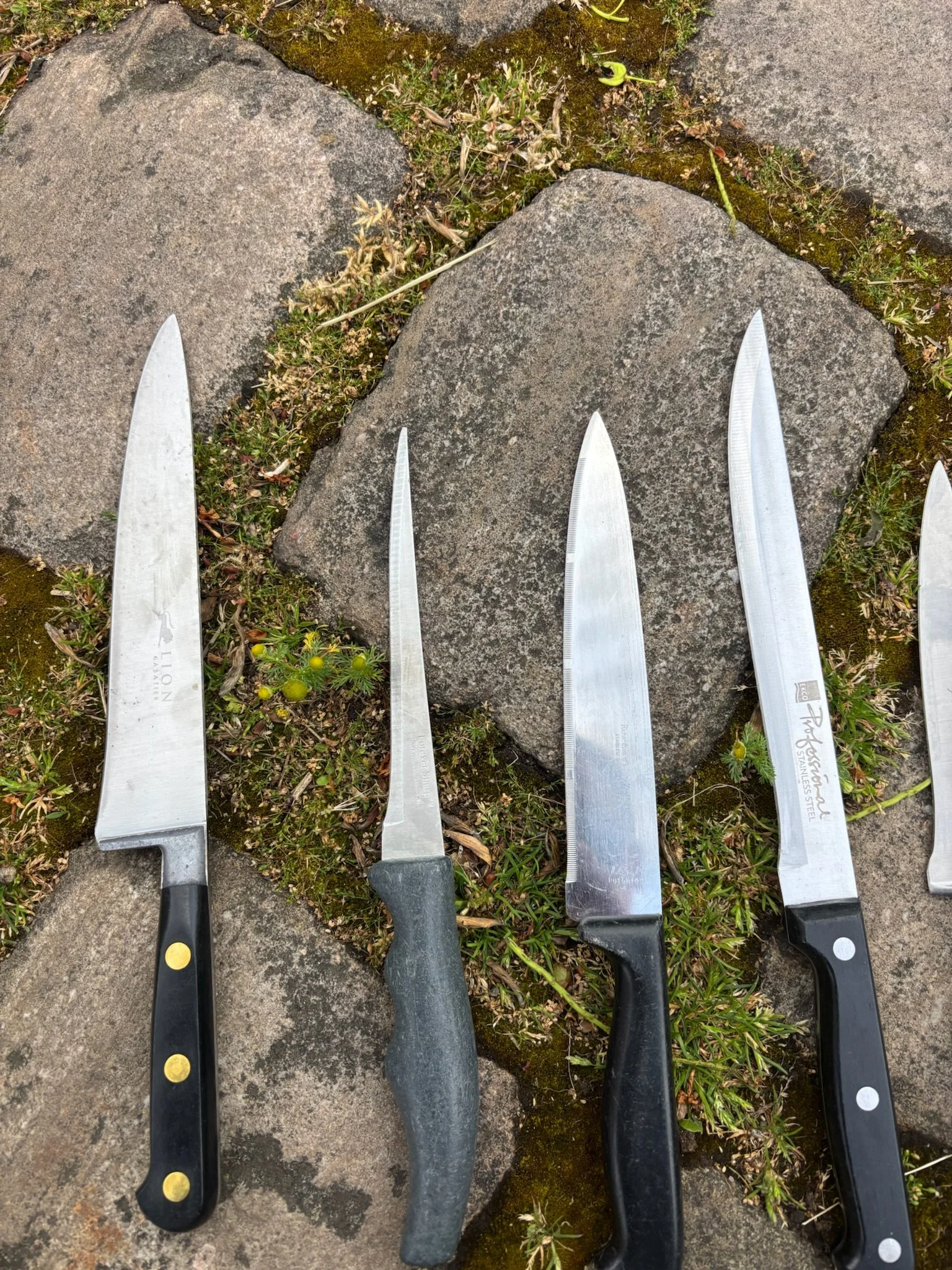 Sharpened Kitchen Knives, including a serrated and paring knife
