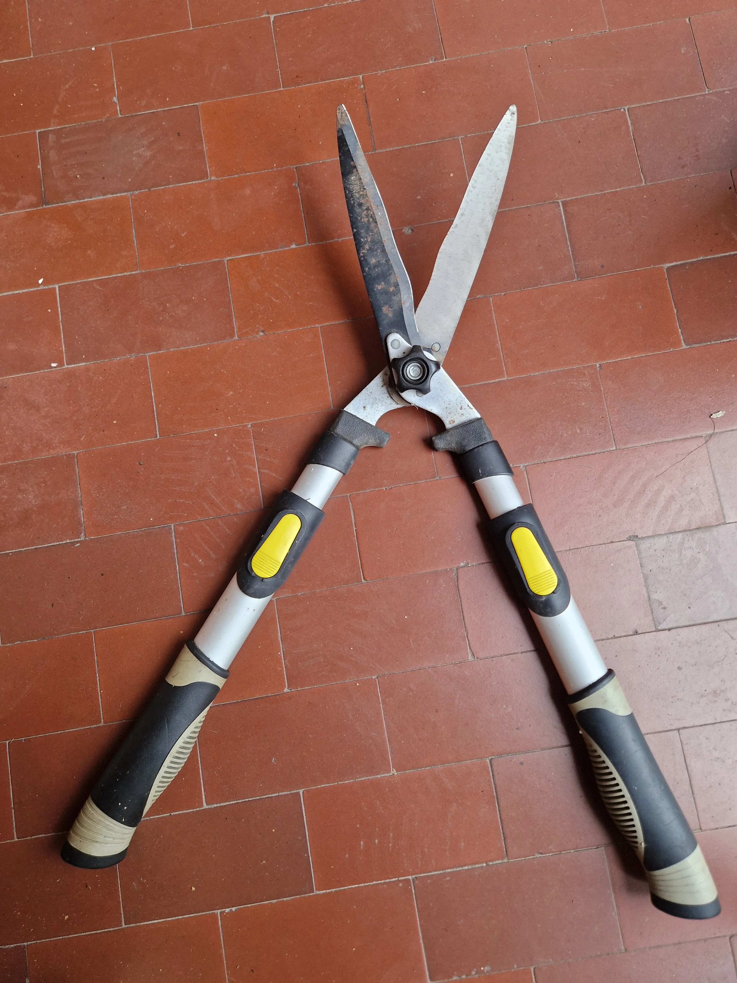 Pair of Sharpened Telescopic Hedge Shears