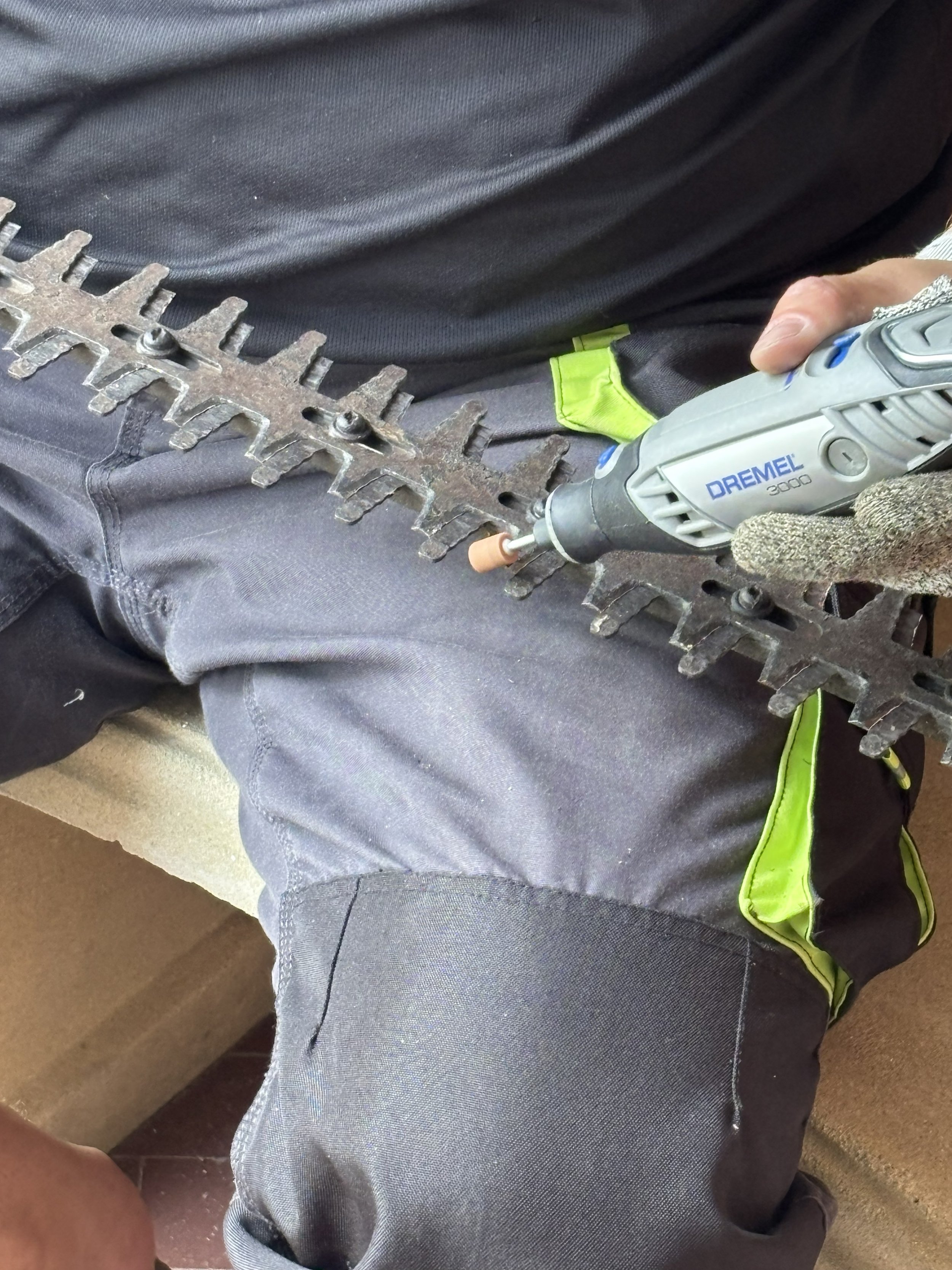 Bosch Electric Hedge Trimmer sharpening service, where can i get my hedge trimmer sharpened, hedge trimmer sharpening stockport, manchester. where can i get my bosch electric hedge trimmer sharpened?
