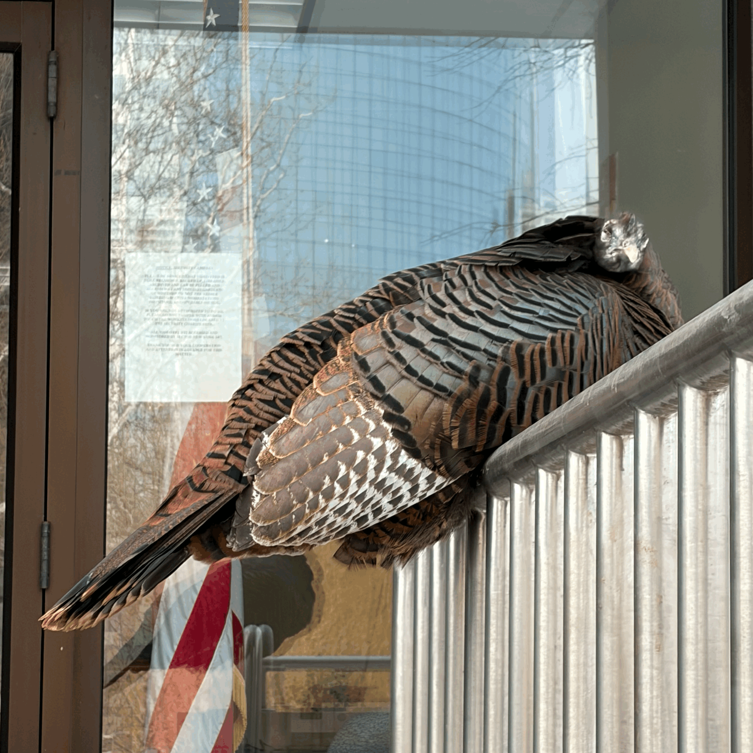 Astoria at the Coast Guard building