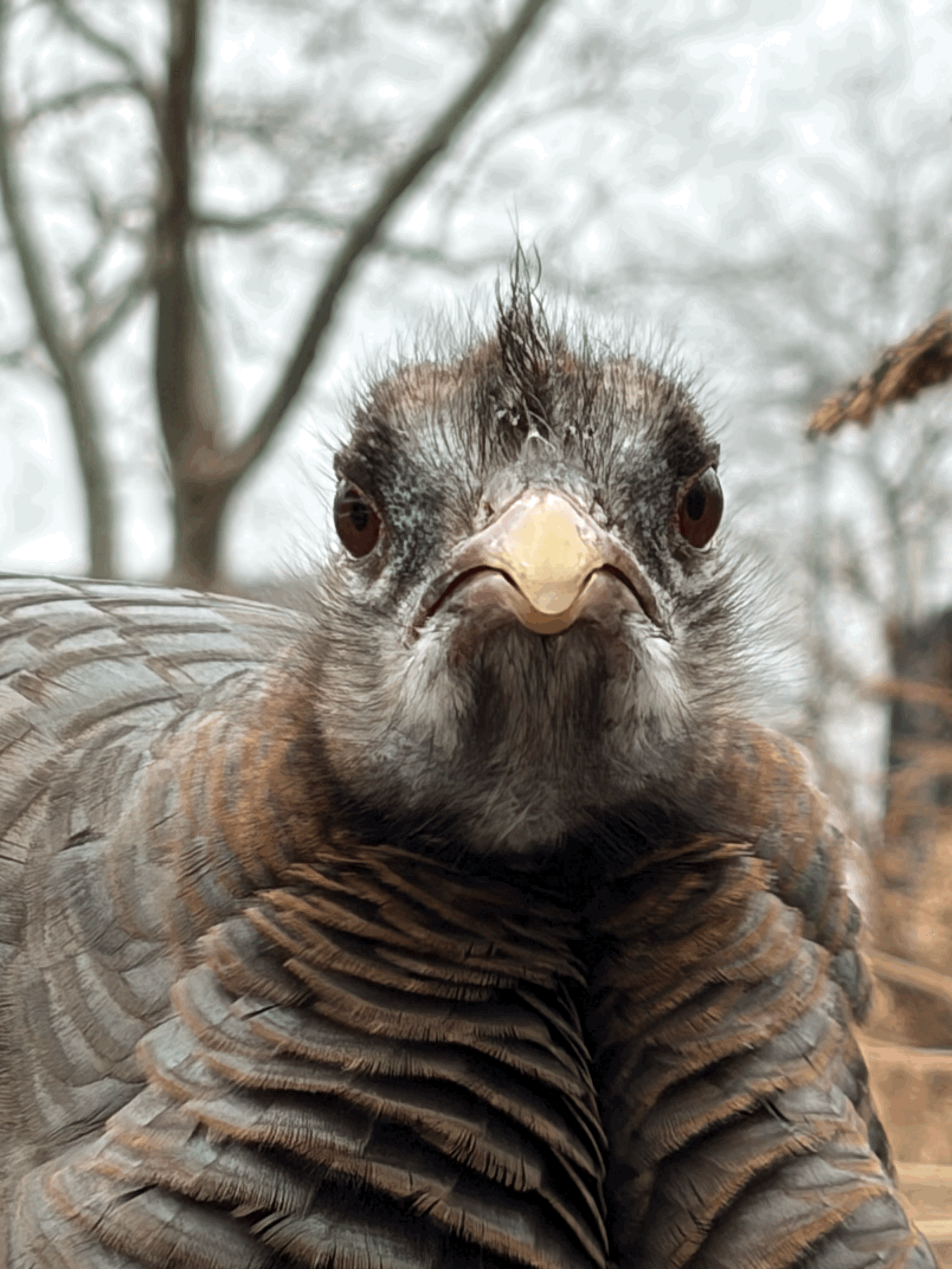 Good morning, Astoria!