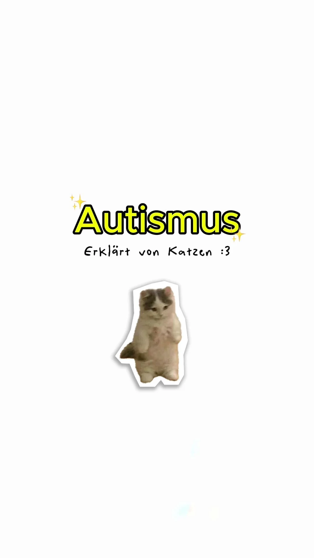 TikTok Screenshot mit weißem Grund einer Katze und der Überschrift "Autismus - Erklärt von Katzen".