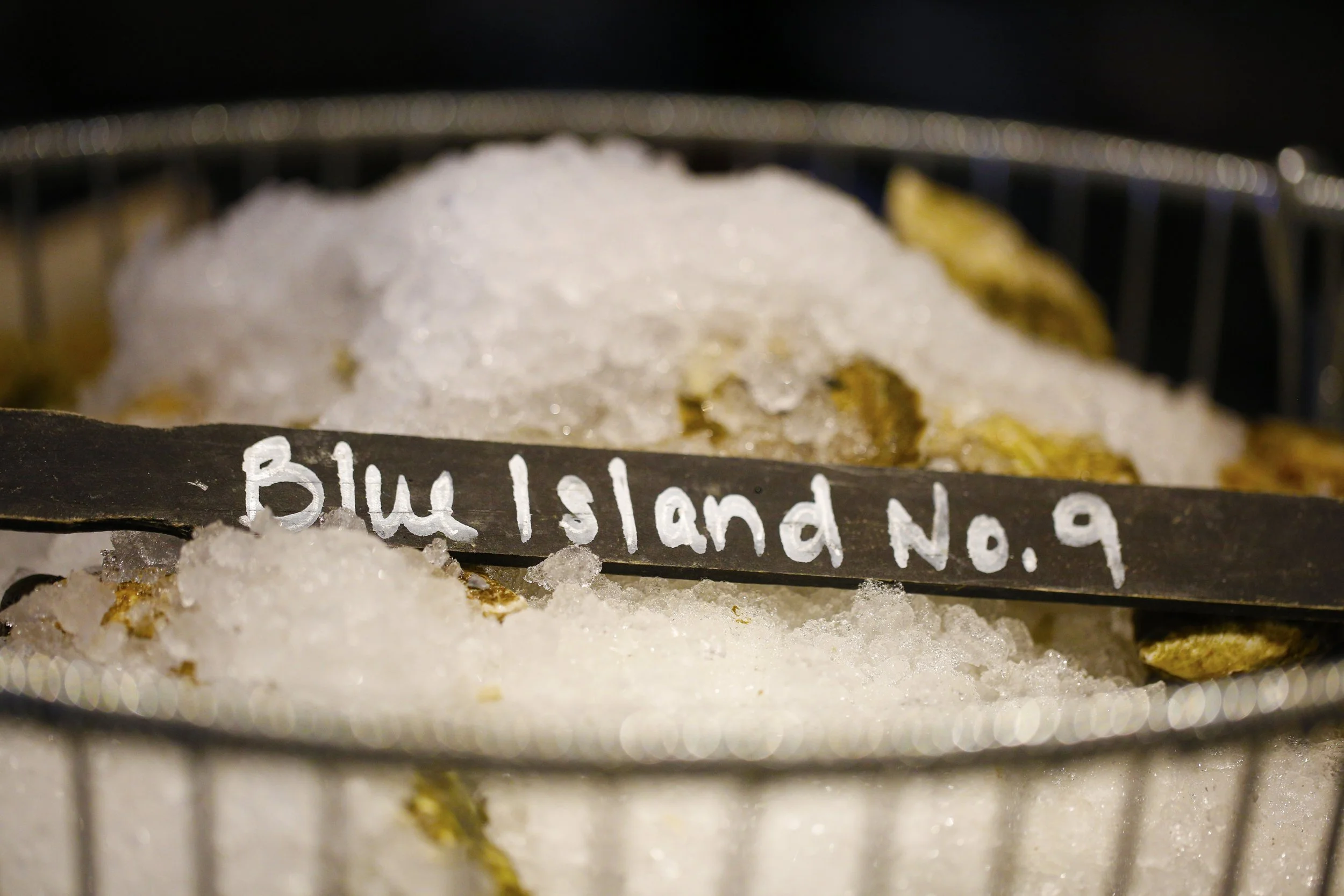 Martinis, Mignonette & Magic: Ultimate Oyster Pairing Guide