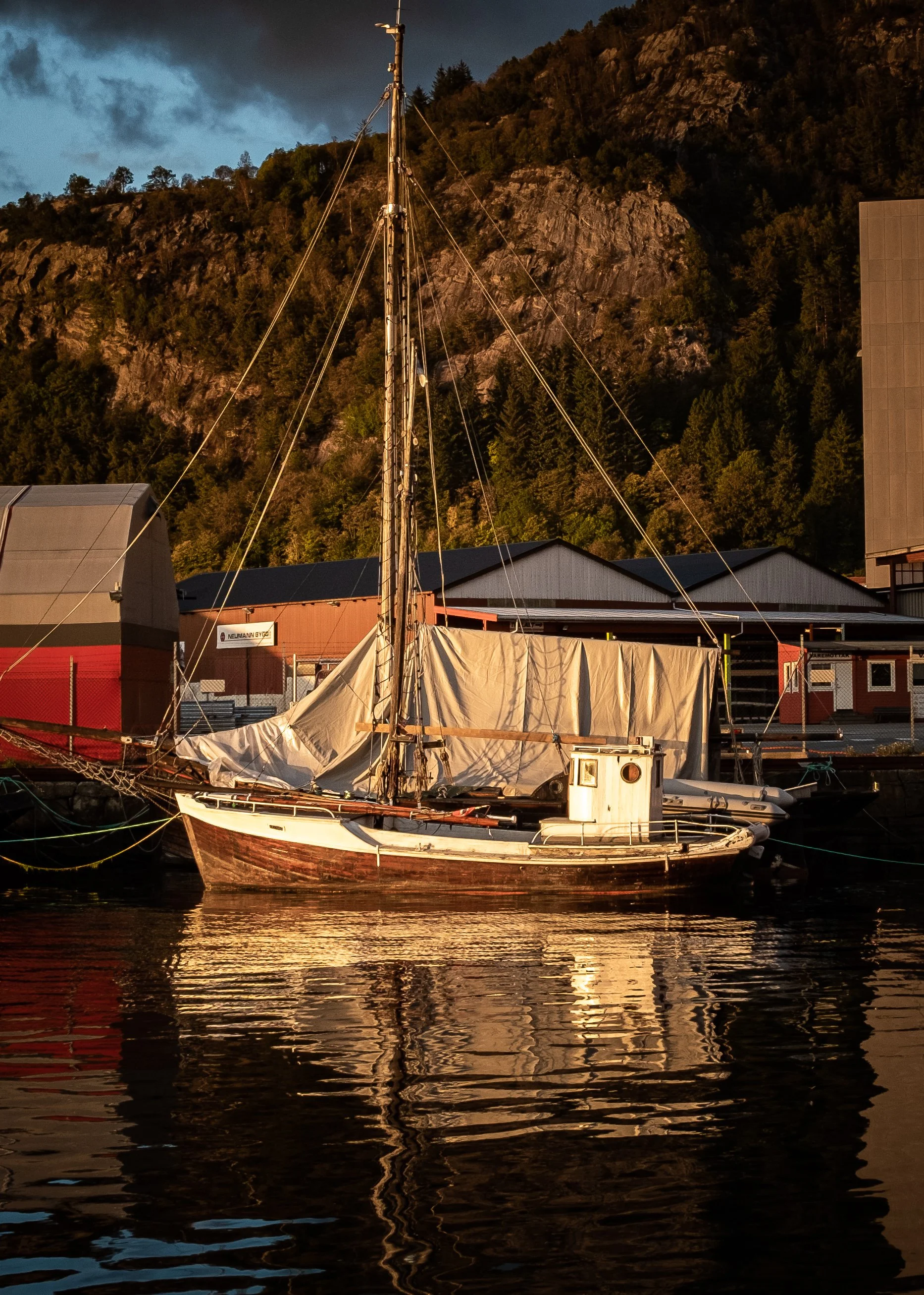 DSCF2431.jpg