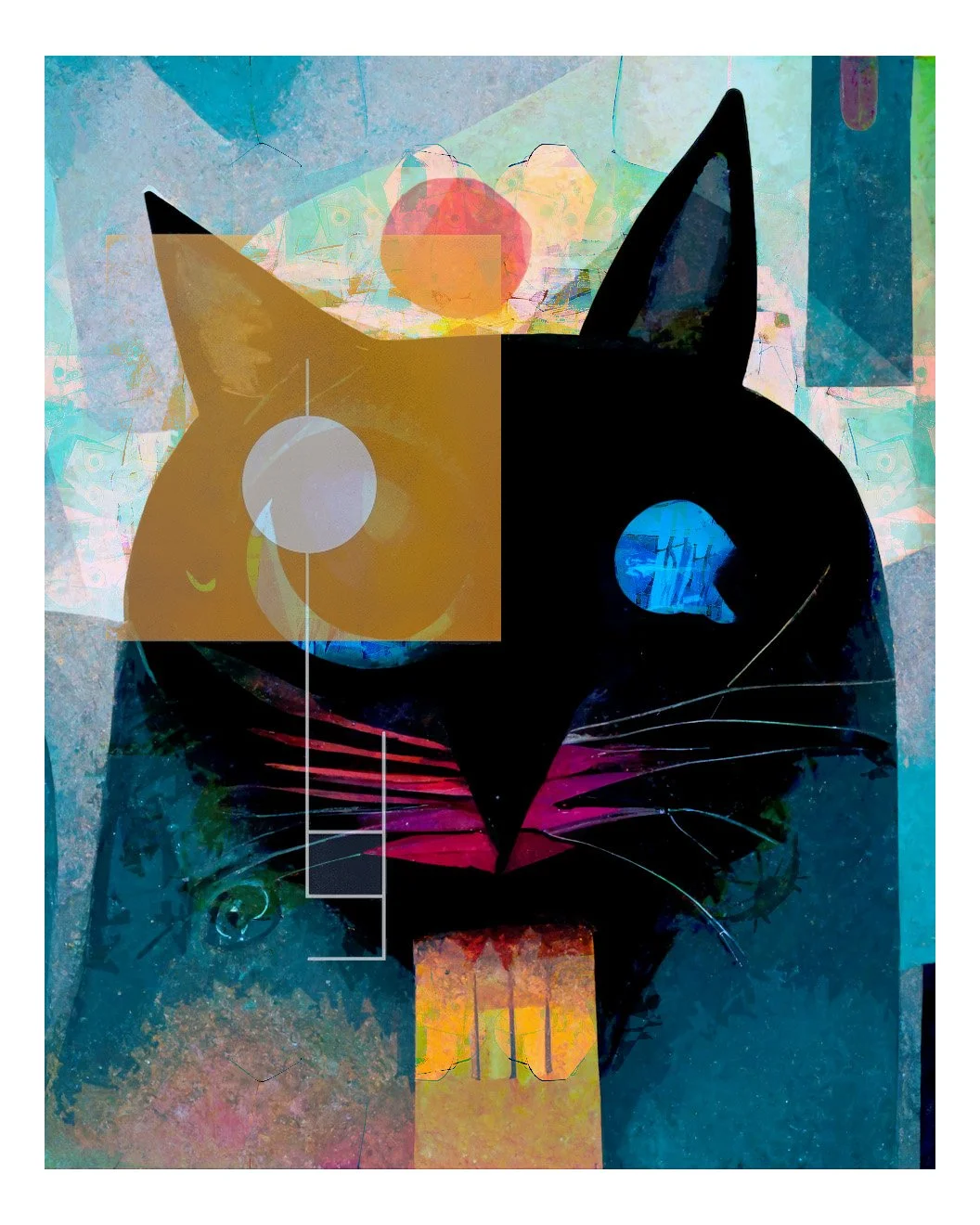 katt.jpg