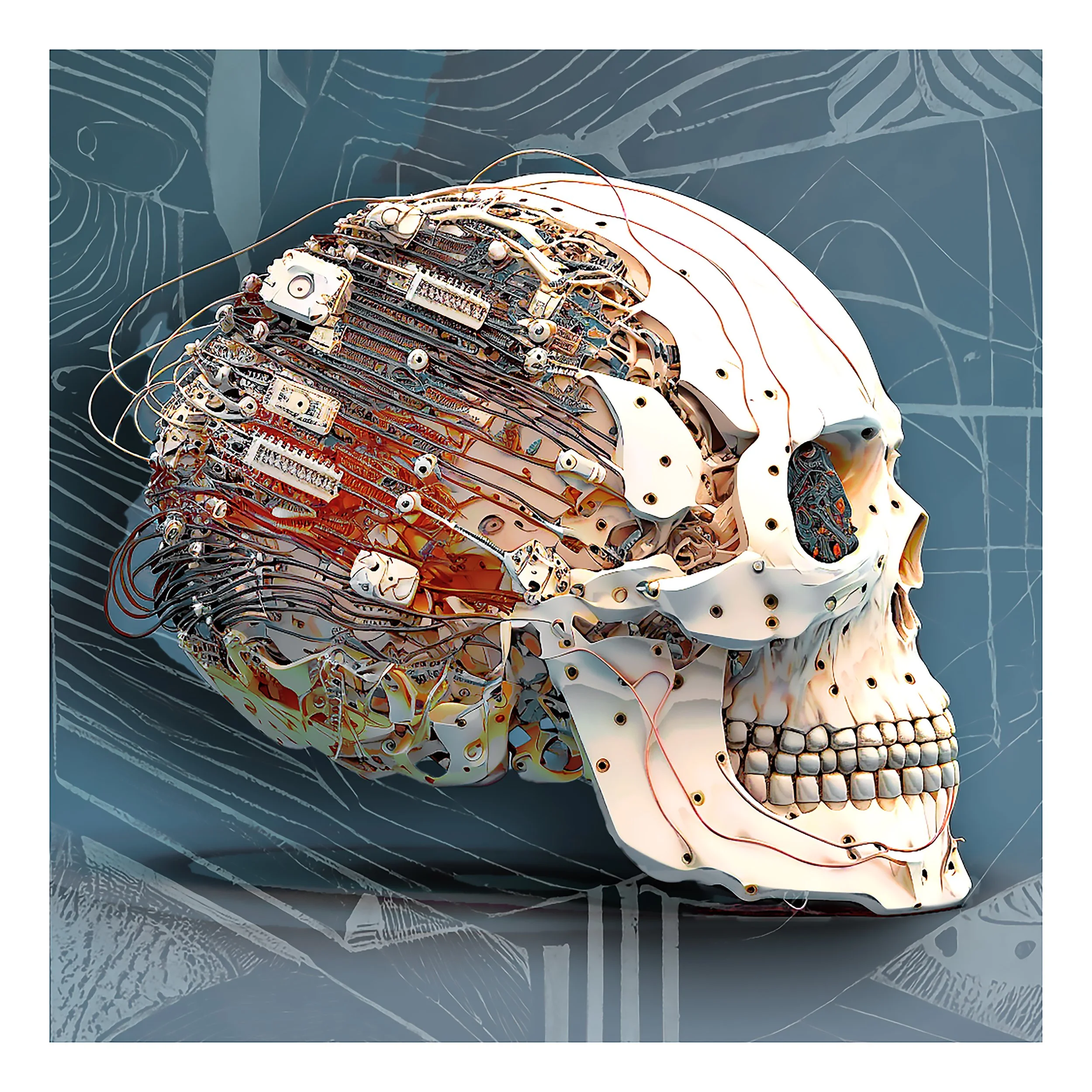 brain2.jpg