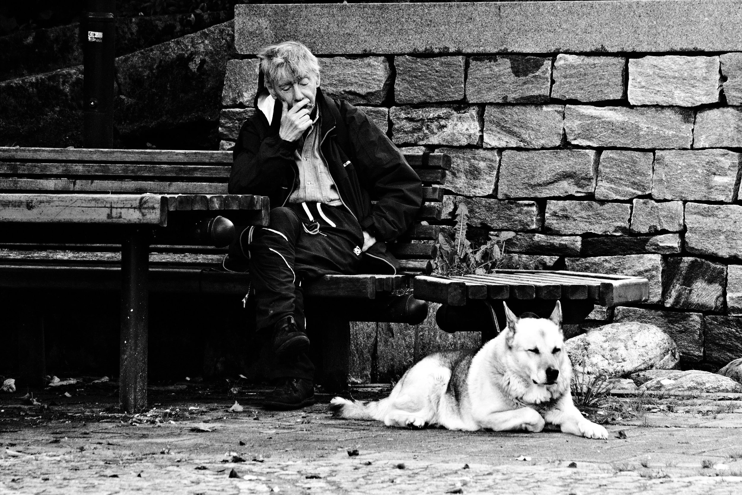 mannhundsandviken.jpg