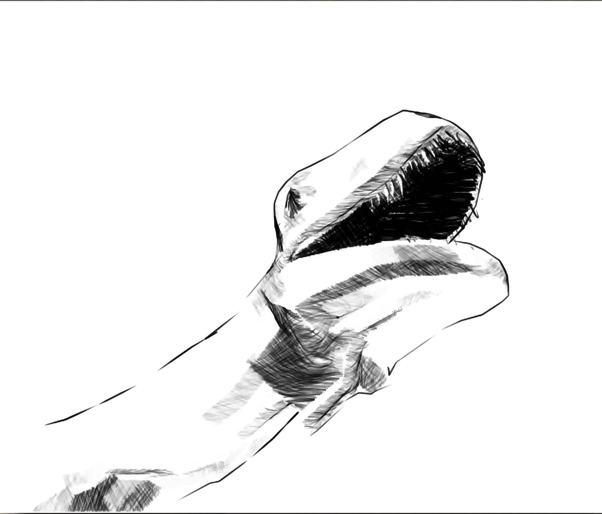 dino_1.jpg
