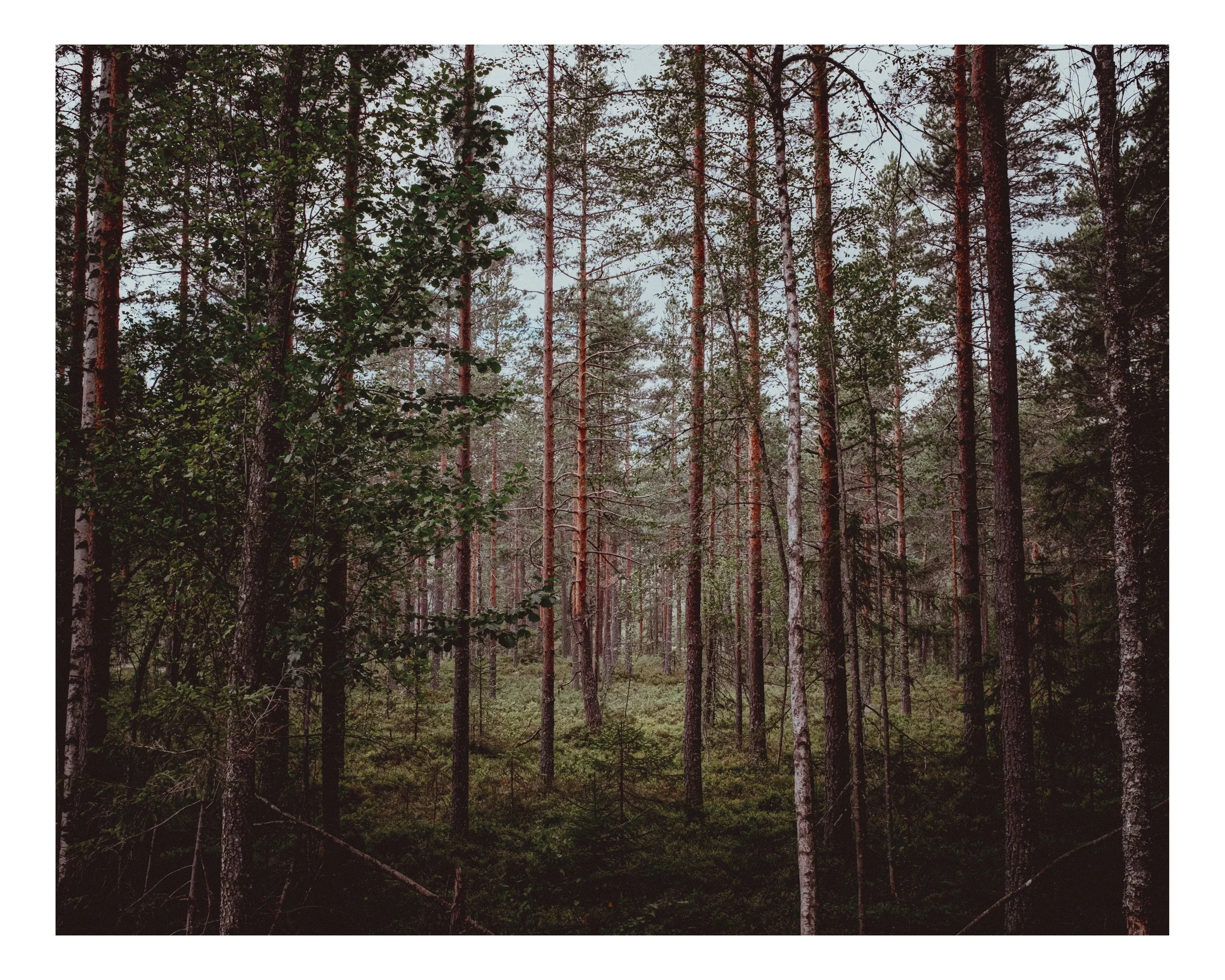 DSCF6853.jpg