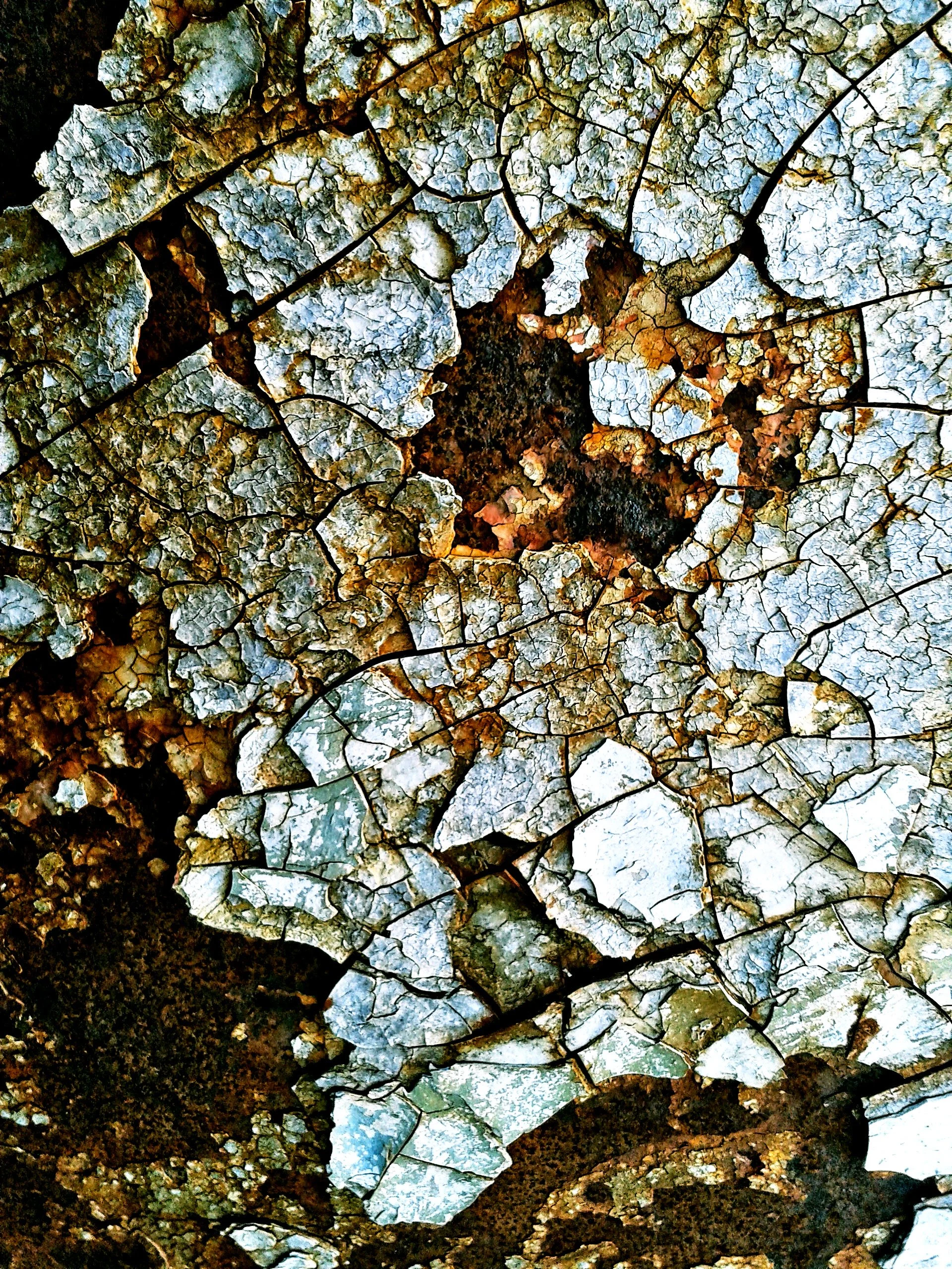 20140430_194603.jpg