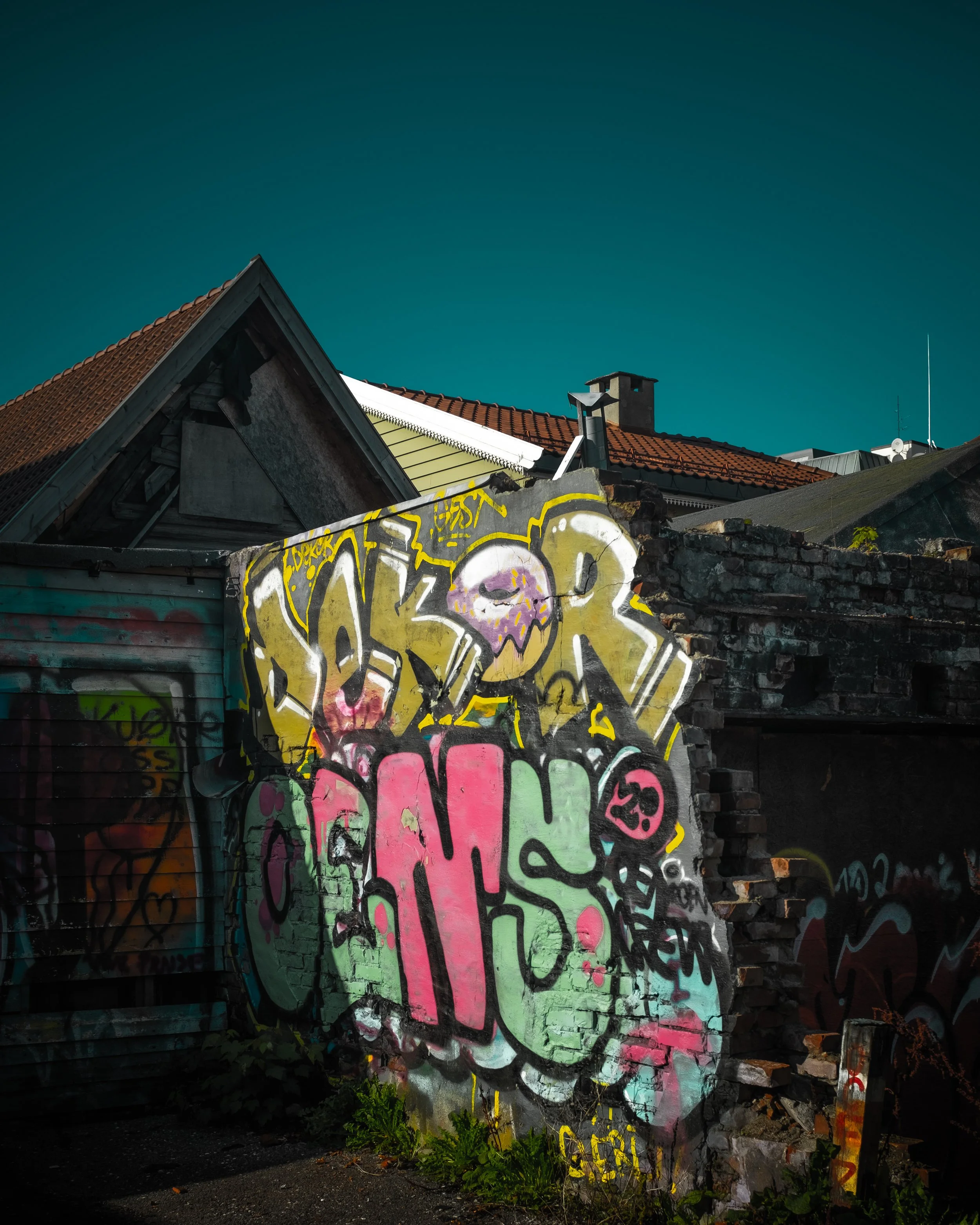 DSCF2564.jpg