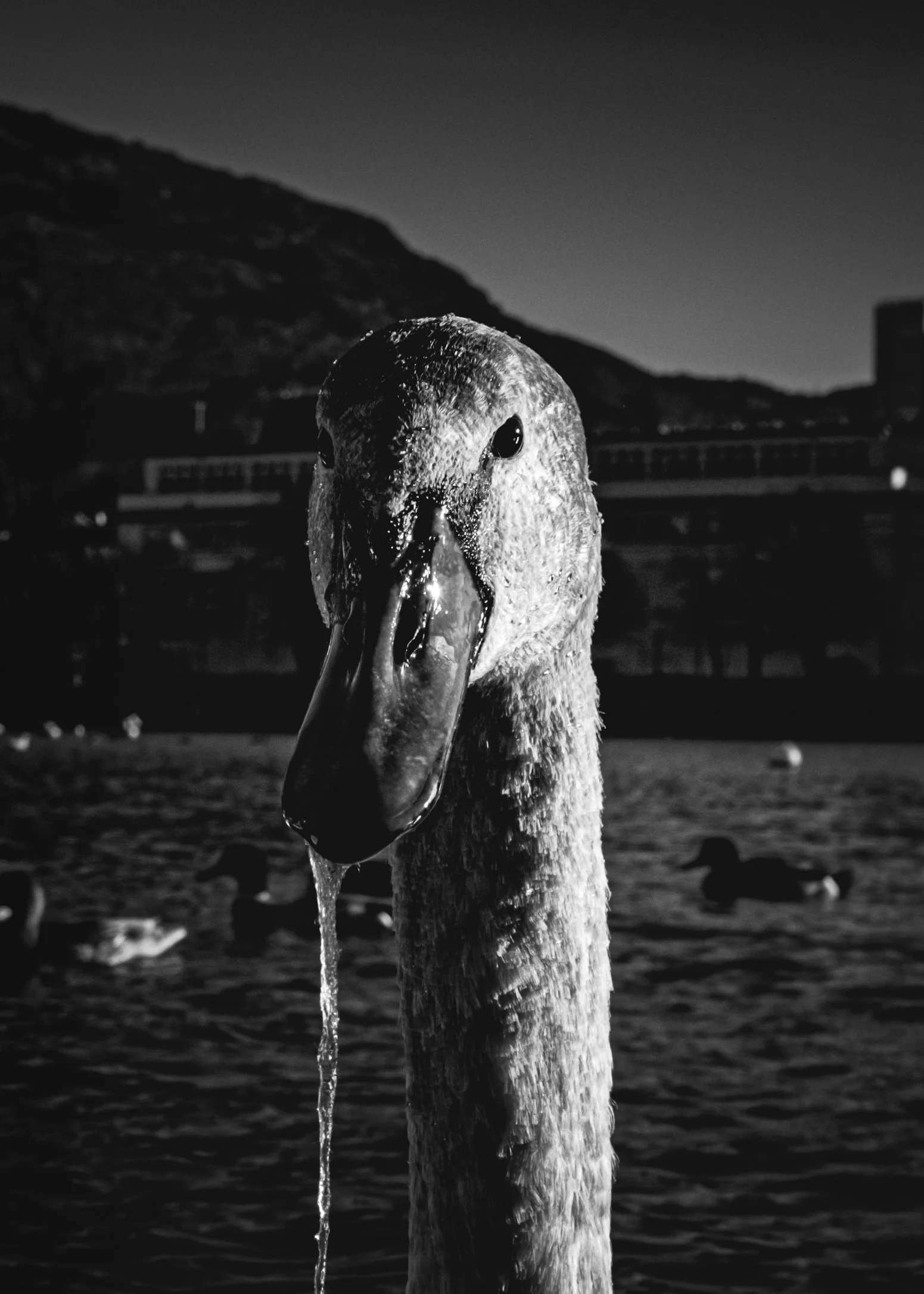DSCF3880.jpg