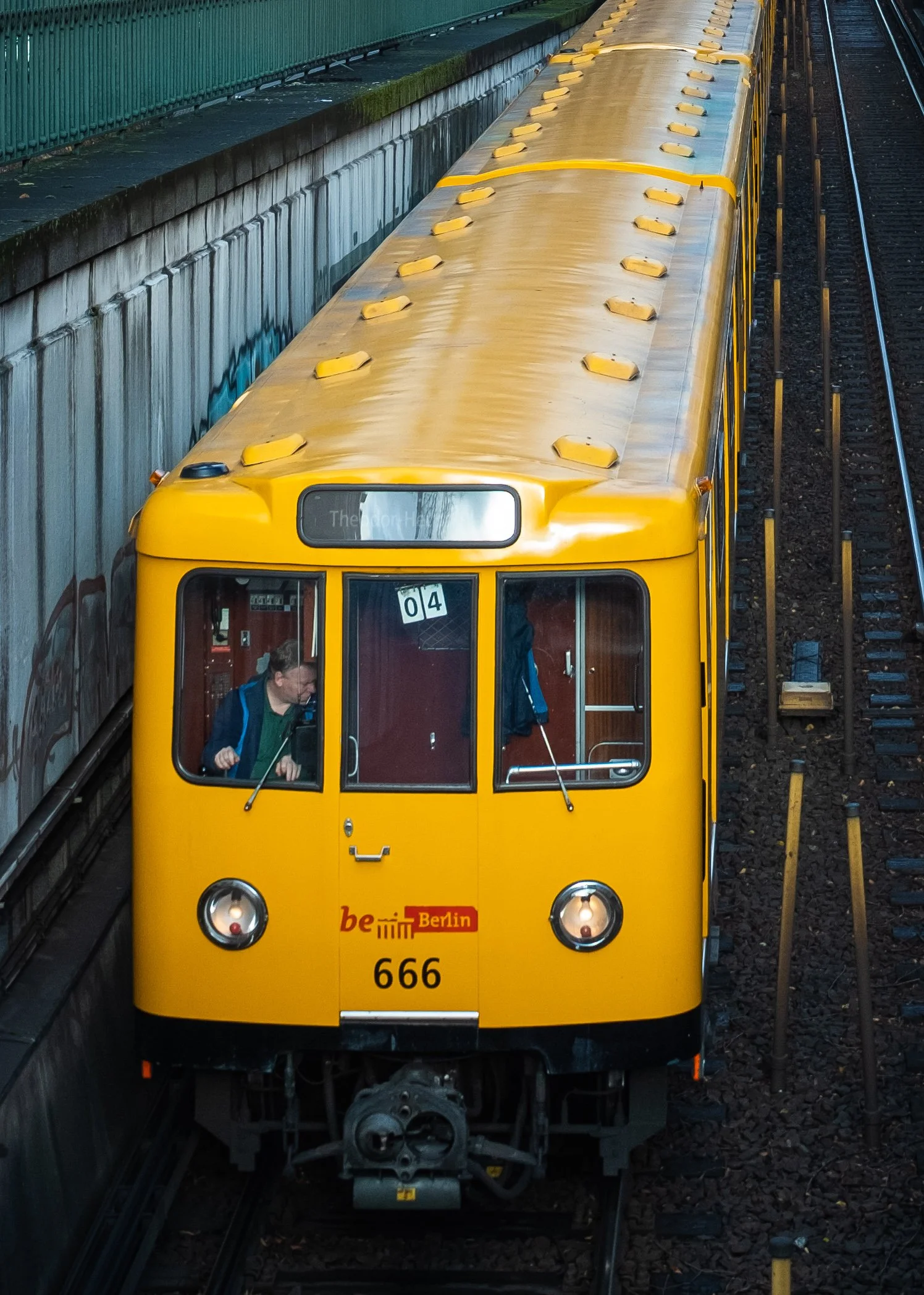 DSCF5126.jpg