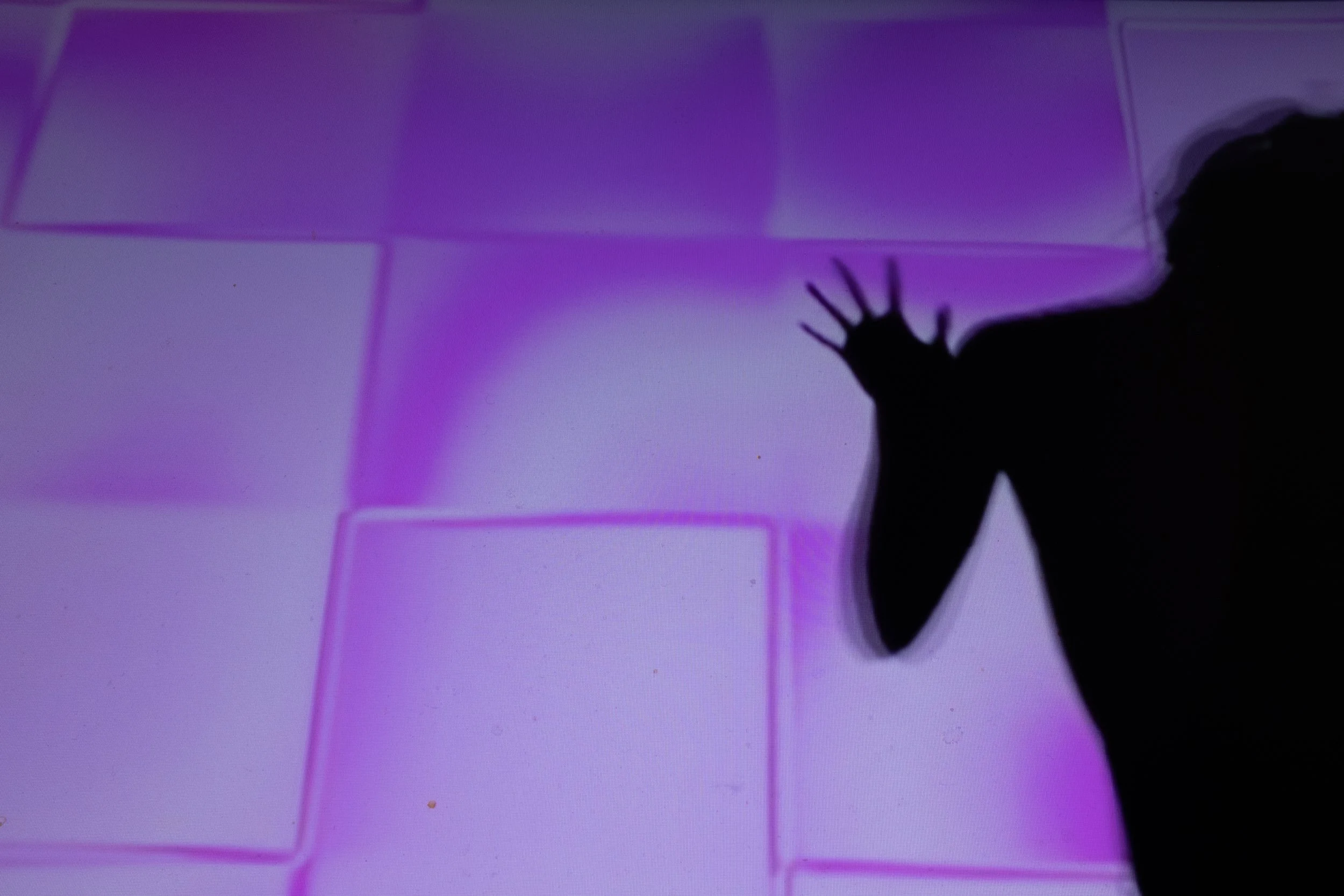 DSCF6534.jpg