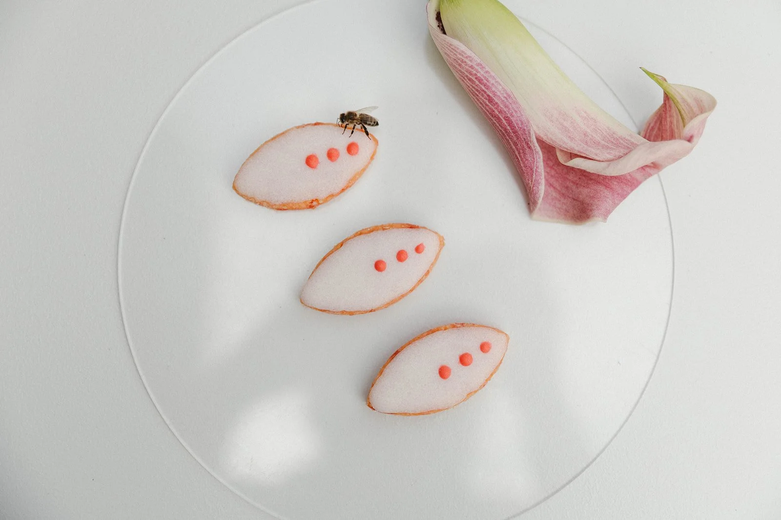 Three slices of radish with three small pink dots on each slice, a bee on the top slice, and a partially visible pink and green flower on the right side, all arranged on a white plate.