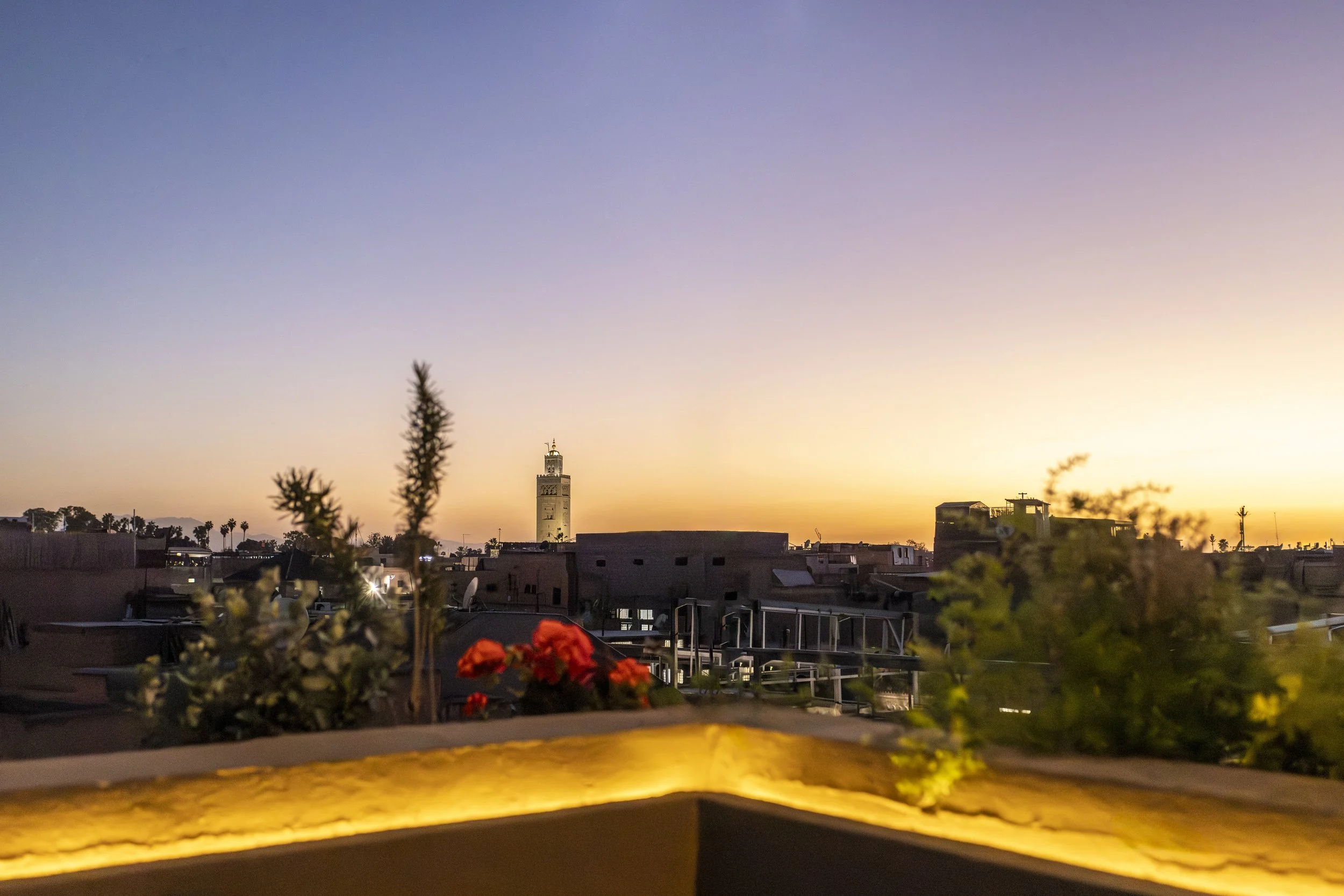 1183504-rak_view_from_nomad_0224_313.jpg