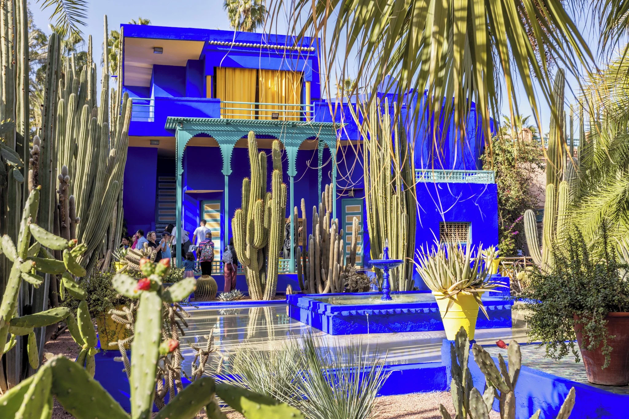RAK_Le_Jardin_Majorelle_0224_161_RGB-136-DPI-For-Web.jpg
