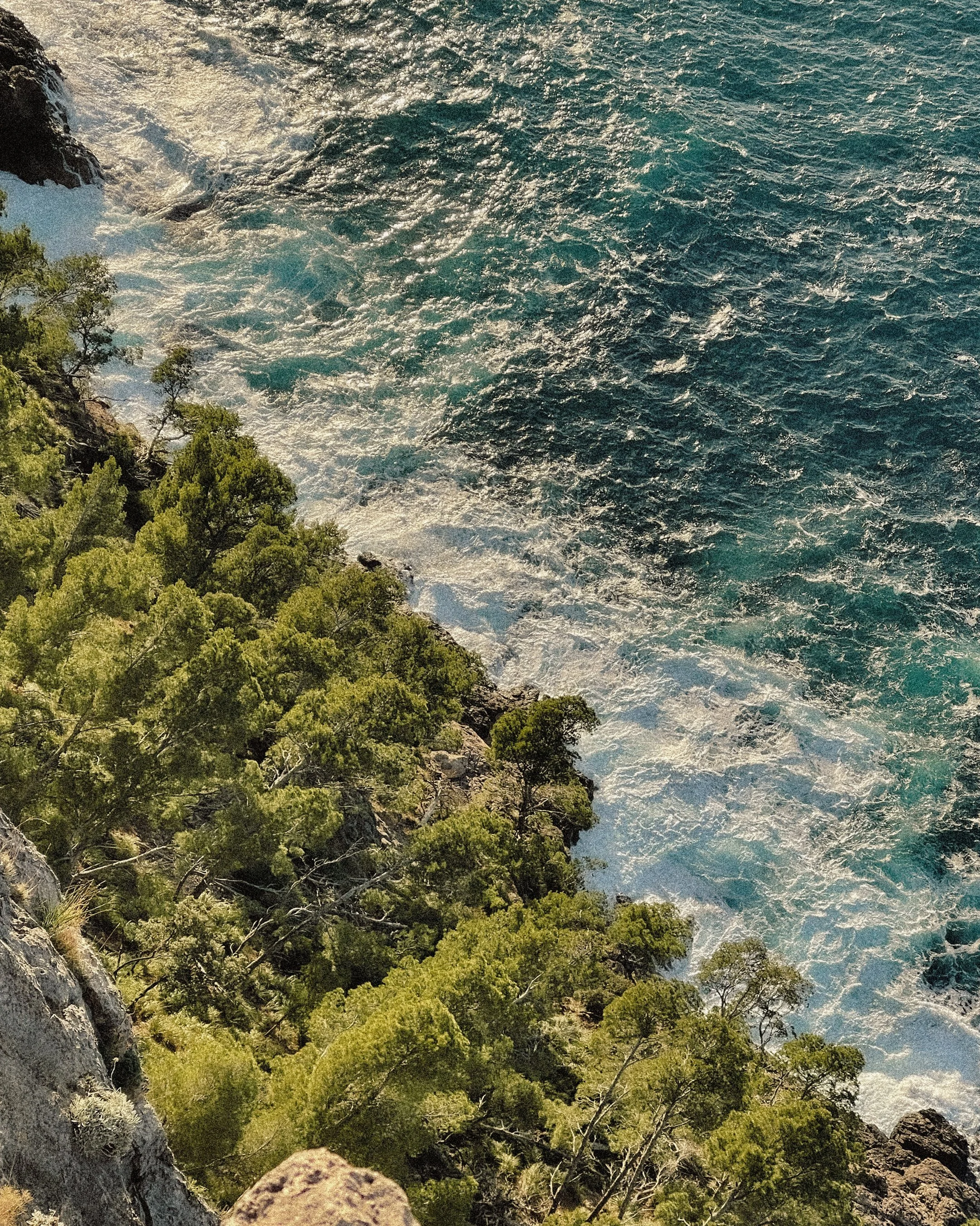 Ocean waves crashing against a rocky shoreline with dense green trees.