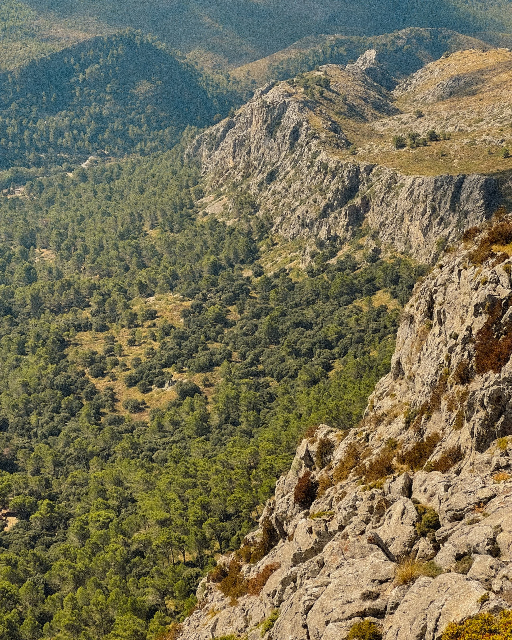 Mountain landscape with rocky cliffs in the foreground and dense green forest in the valley below, extending to distant mountain ranges under a clear sky.
