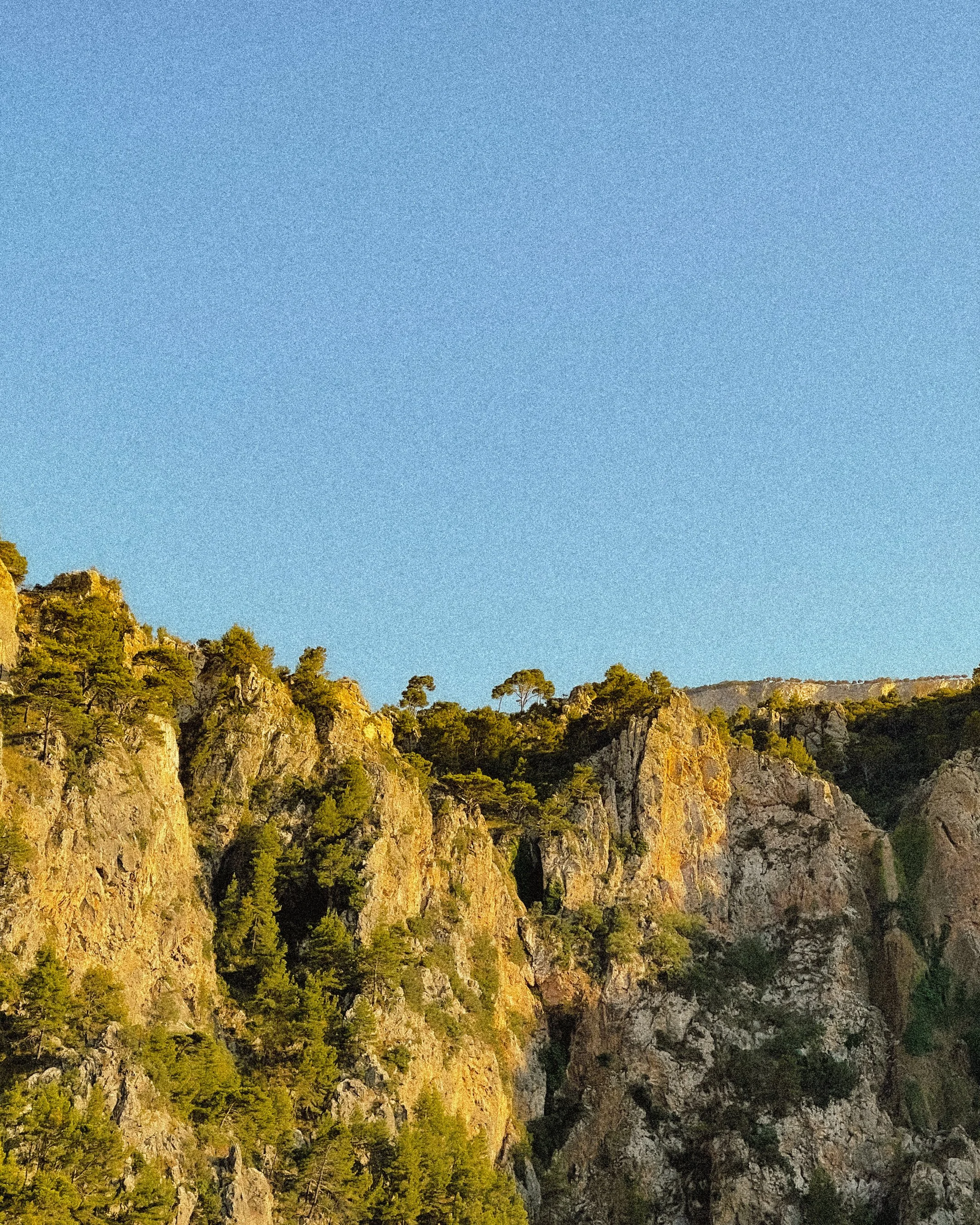 Sunlit rocky mountain slopes covered with green pine trees under a clear blue sky.