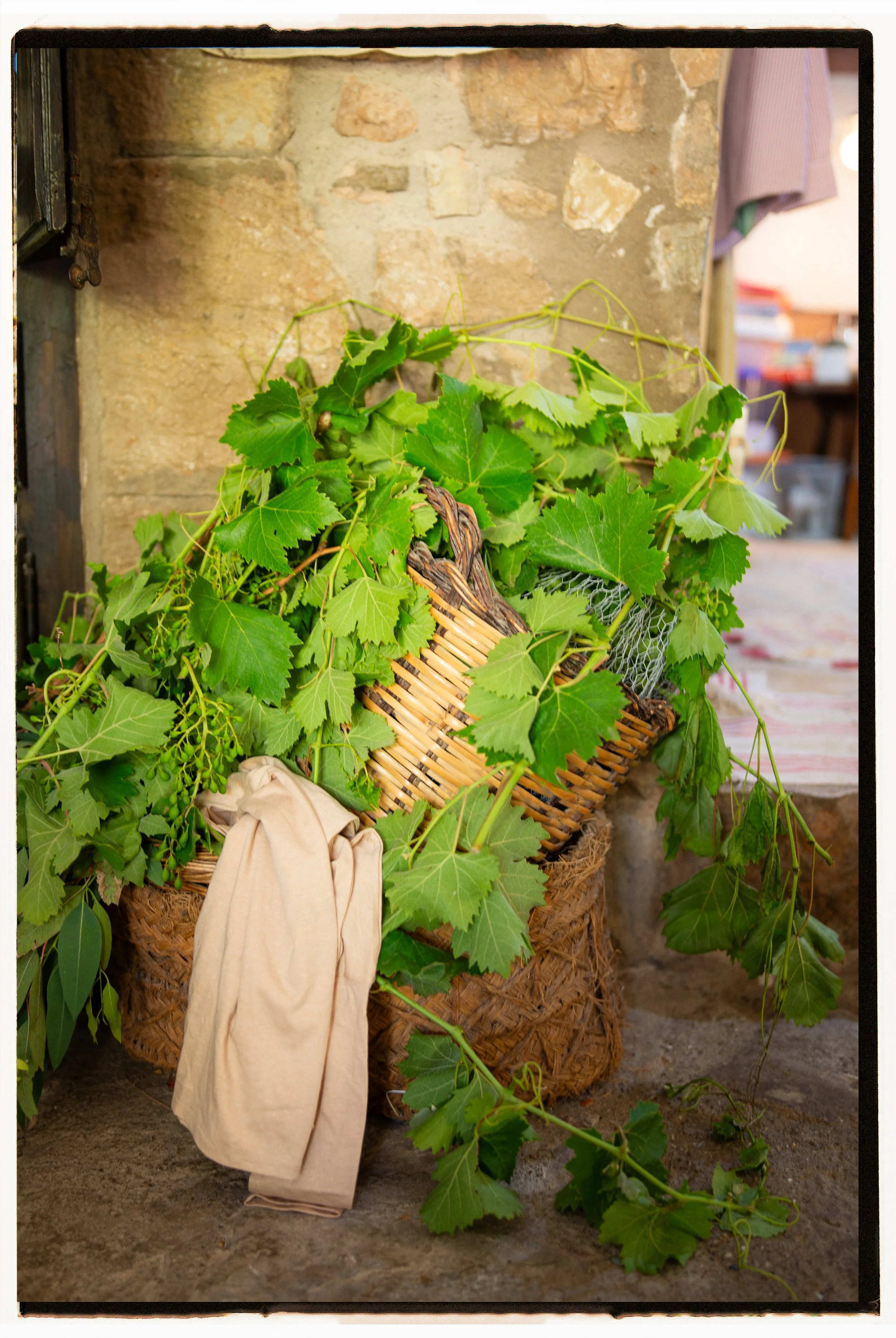 A basket overflowing with green grapevine leaves and tendrils, with a beige cloth draped over the side, placed on a stone surface against a rustic stone wall.
