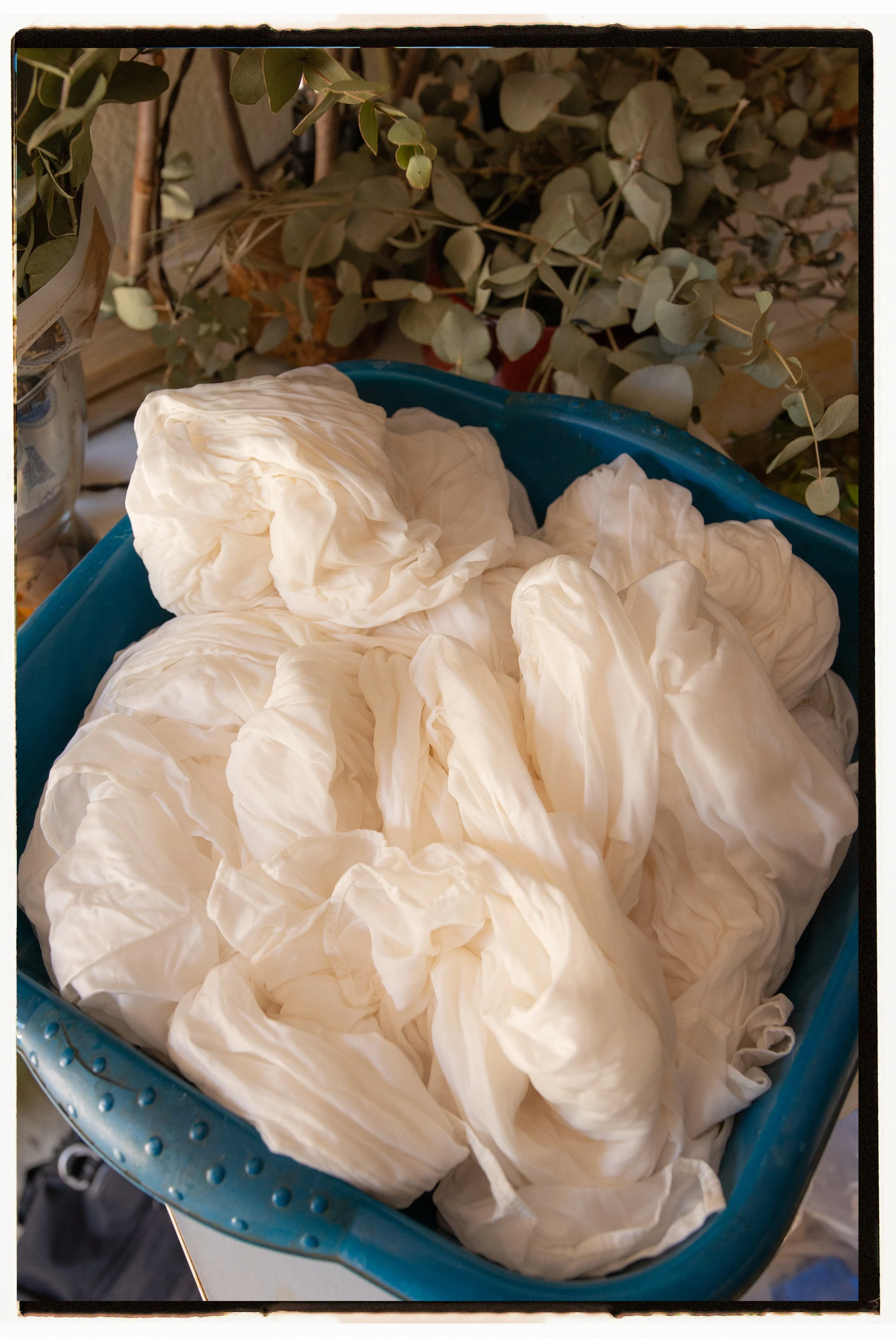 A blue laundry basket filled with crumpled white fabric, with green leafy plants in the background.
