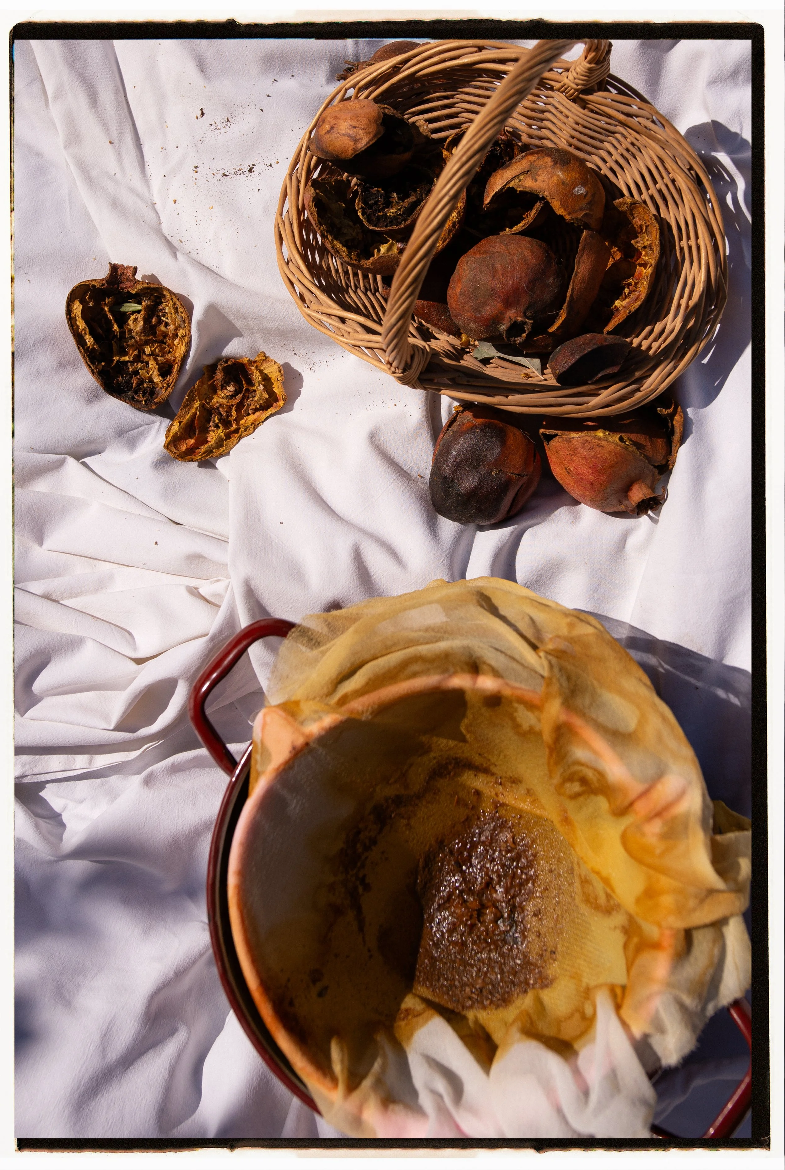 A basket of decayed, dried fruit on white cloth with a porcelain cup containing a dark, gritty substance.