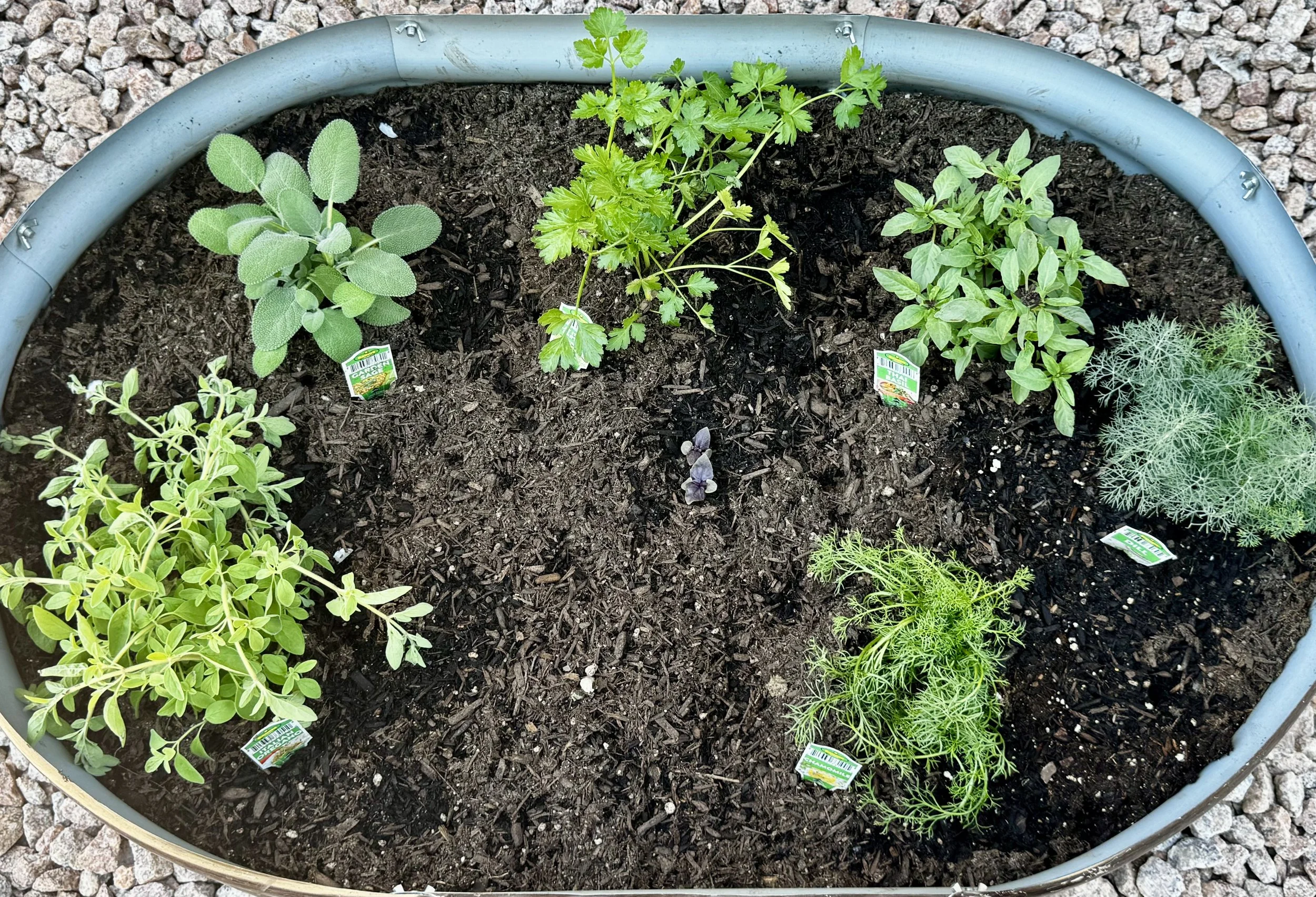 Garden Bed