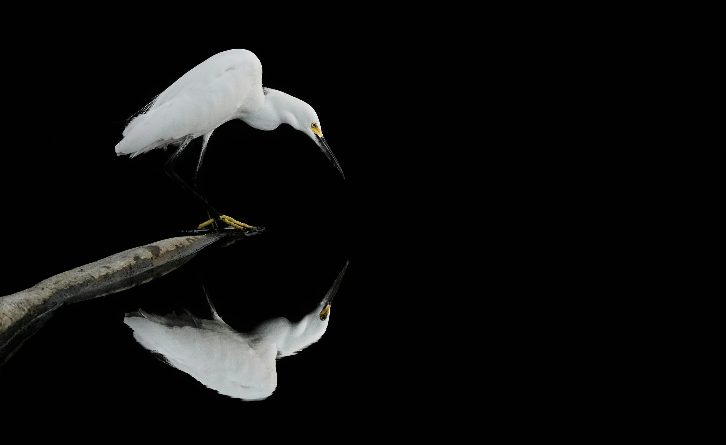 Why Talking and Energy Work Together Help Create Clarity