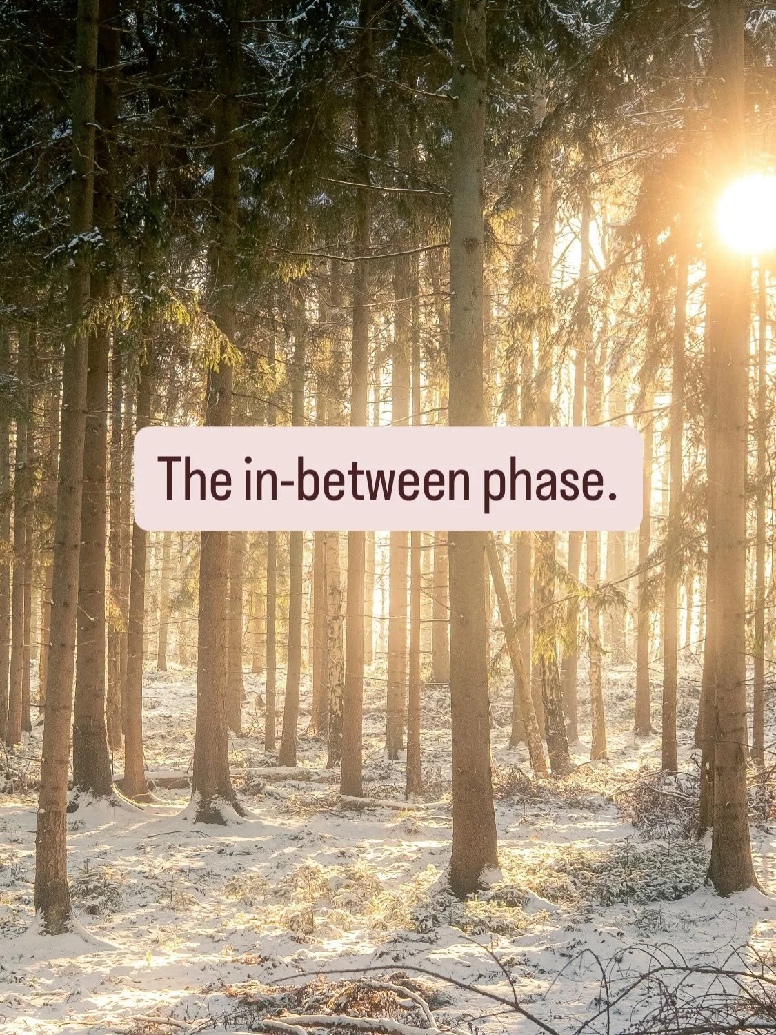 There&rsquo;s a phase of change where nothing on the outside has shifted &mdash;
but inside, something no longer fits.

The in-between phase can feel uncomfortable, uncertain, or quietly exhausting. It&rsquo;s often where stress or burnout begin to s