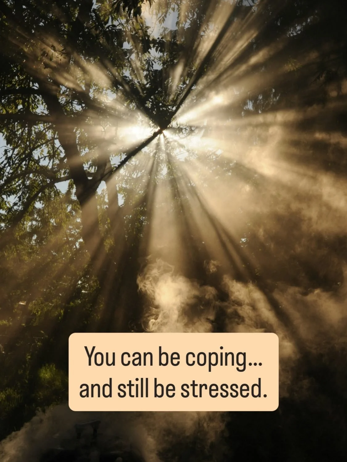 Stress does not always look dramatic.

You can be functioning, delivering, and holding everything together &mdash; while your nervous system is still on alert.

Over time, coping without recovery has a cost.

In today&rsquo;s blog, I explore high-fun