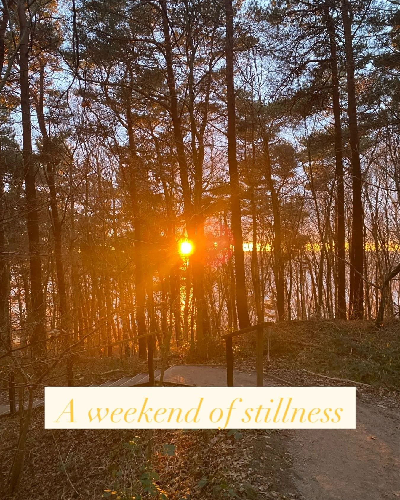 I&rsquo;m back after a quiet weekend of meditation, stillness, and deepening my connection to Reiki &mdash; three days of being immersed in the energy, with an open heart, listening to the more subtle signs and shifts.

For me, this work has never be