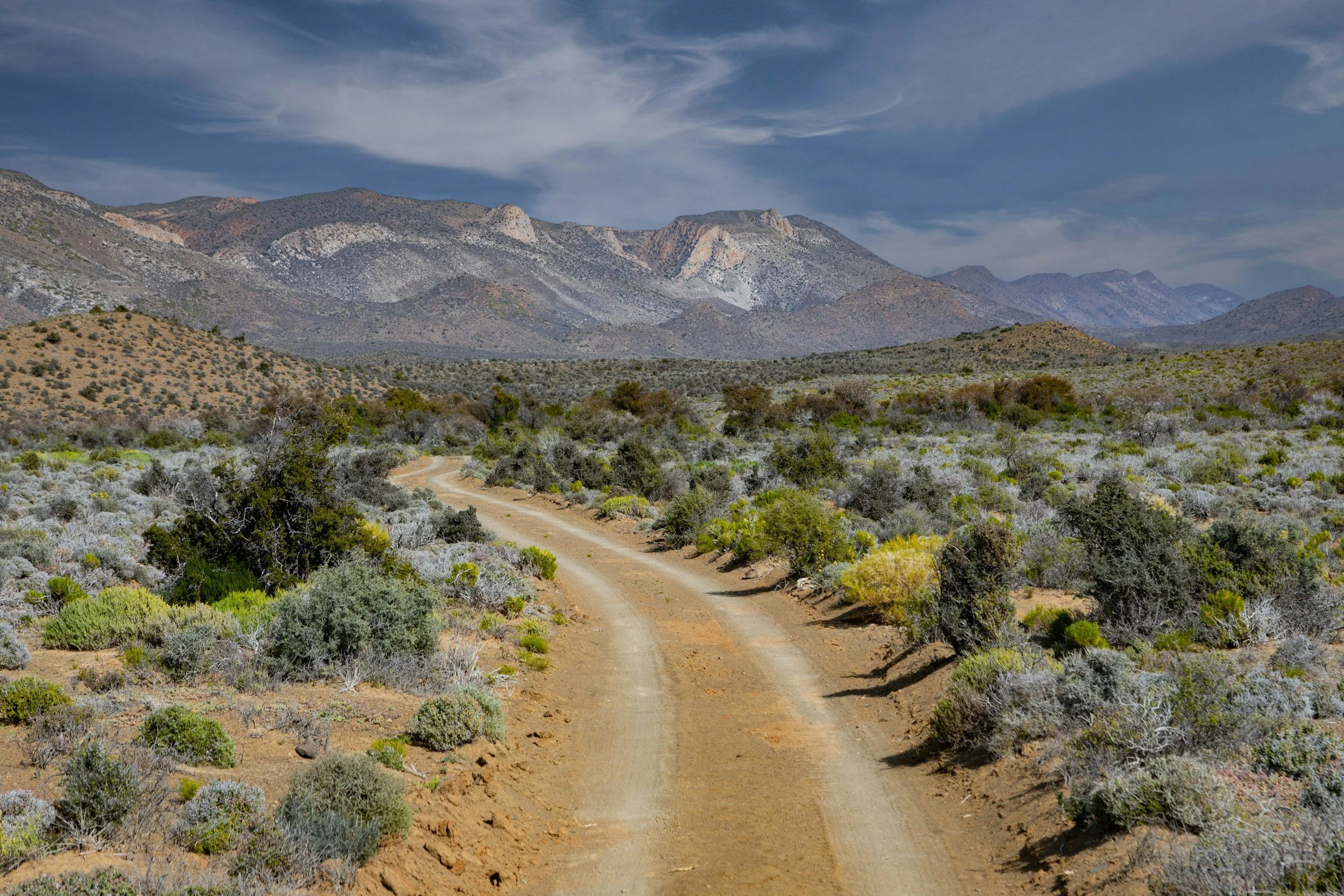 Grote Karoo
