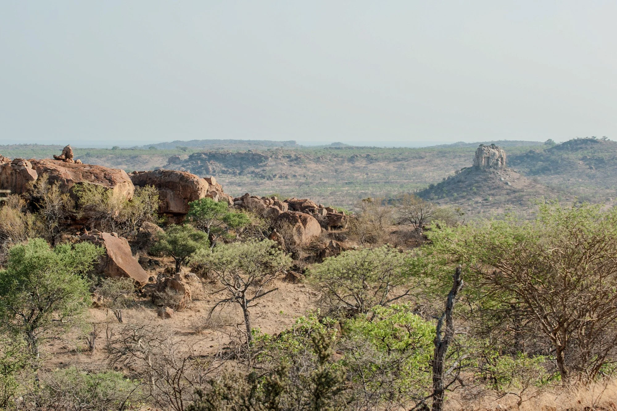 Mapungubwe National Park, drie landen op één horizon