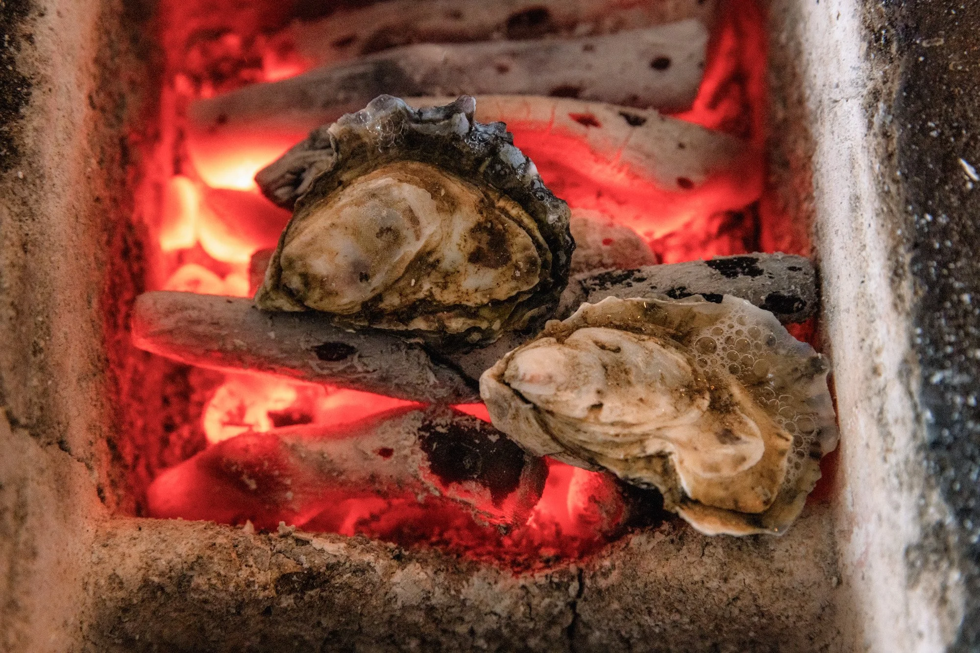 Oesters gegaard boven open vuur met spekboom en gemberboter bij Salsify in Zuid-Afrika.