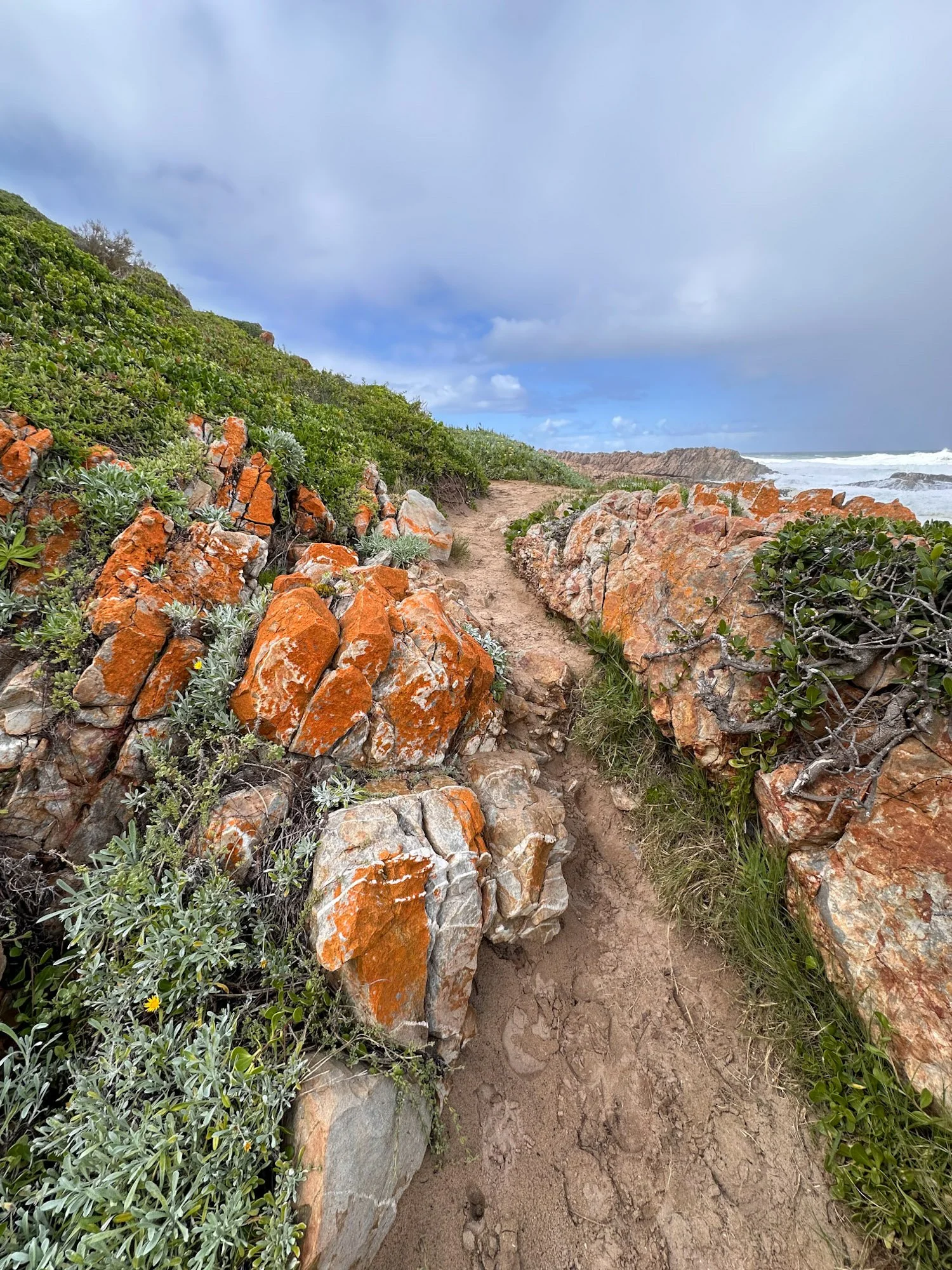 Robberg Nature Reserve