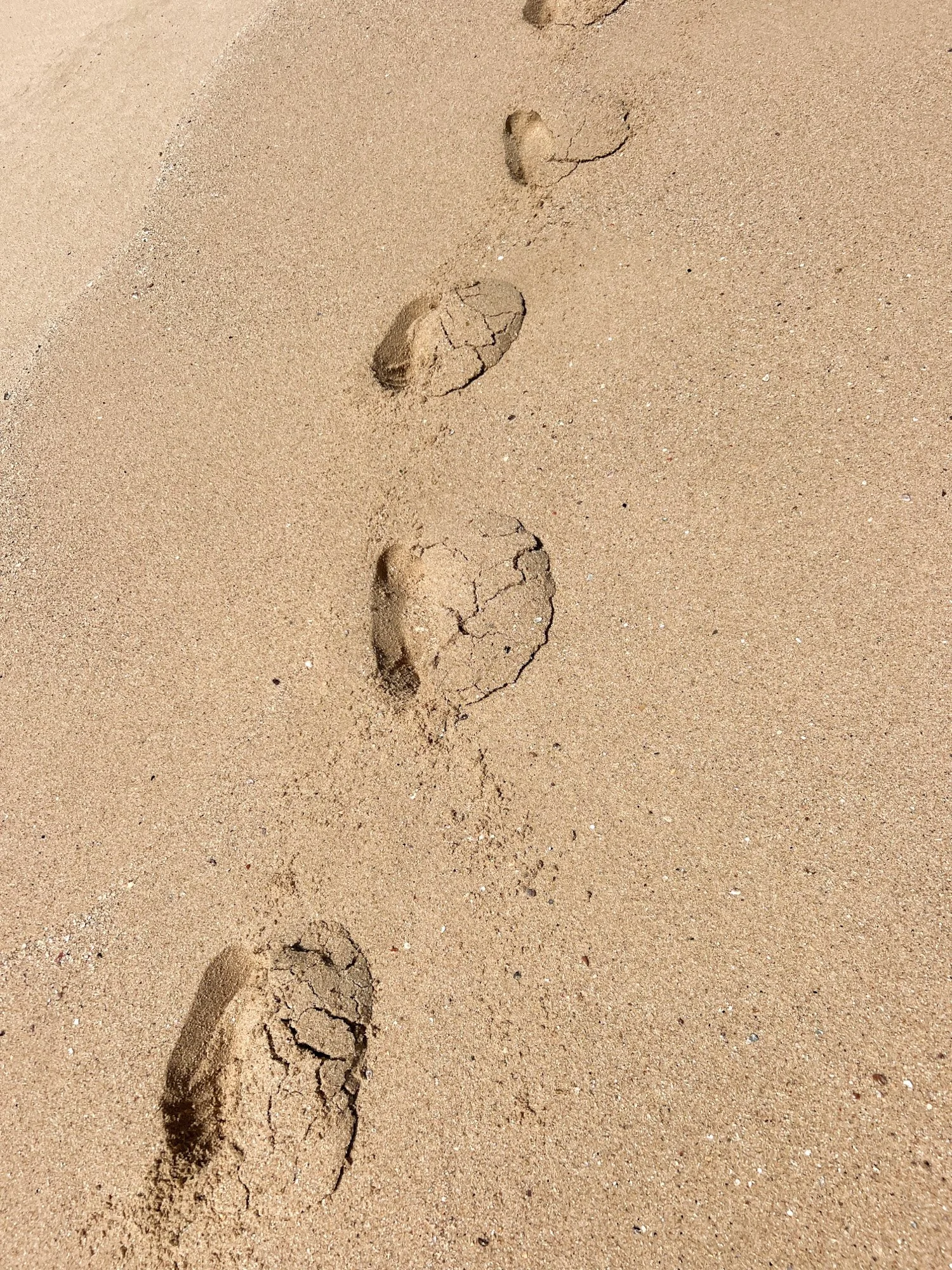 Zandduinen met voetstappen aan de kust van de Garden Route met bergen op de achtergrond.
