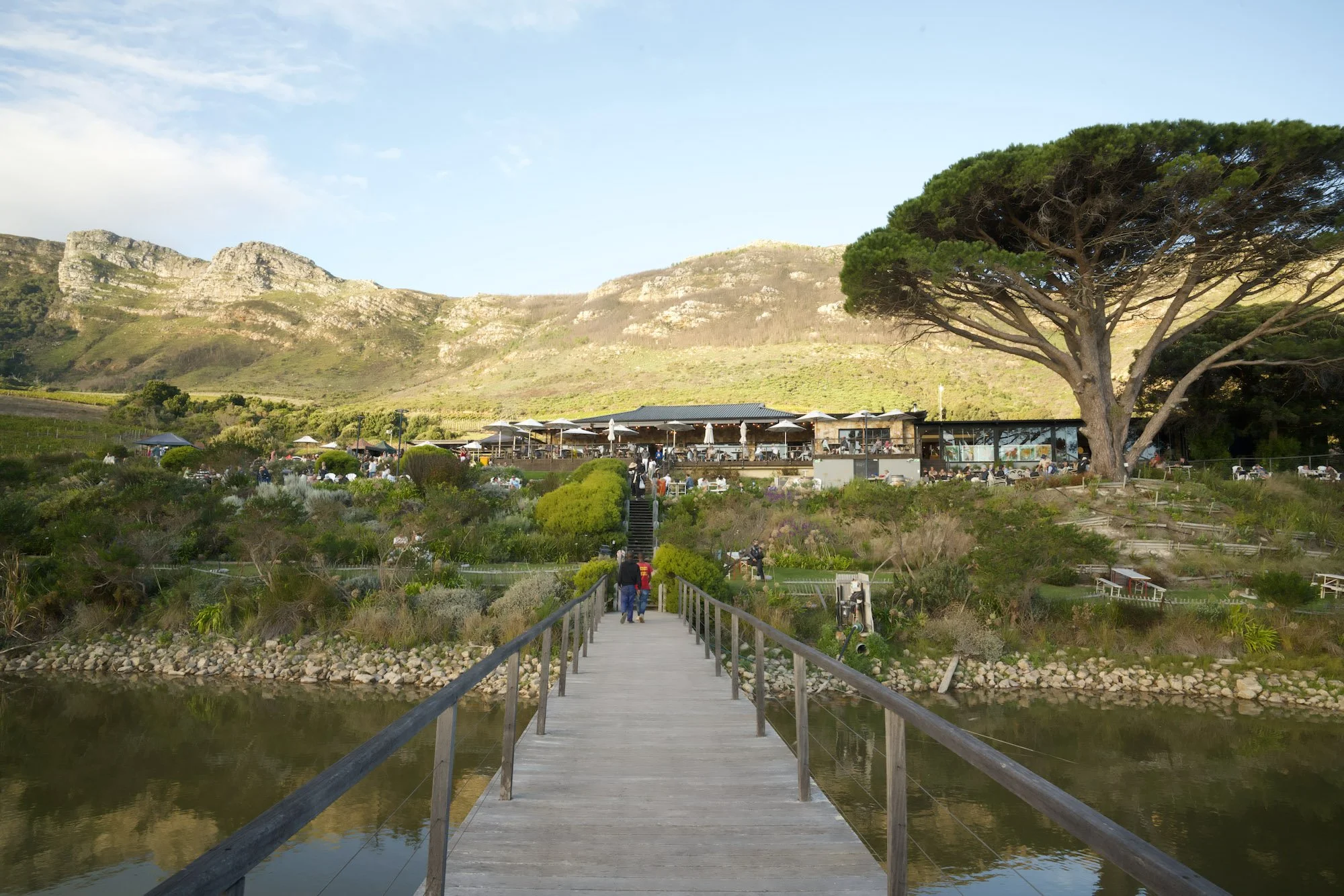 Cape Point Vineyards markt op donderdag